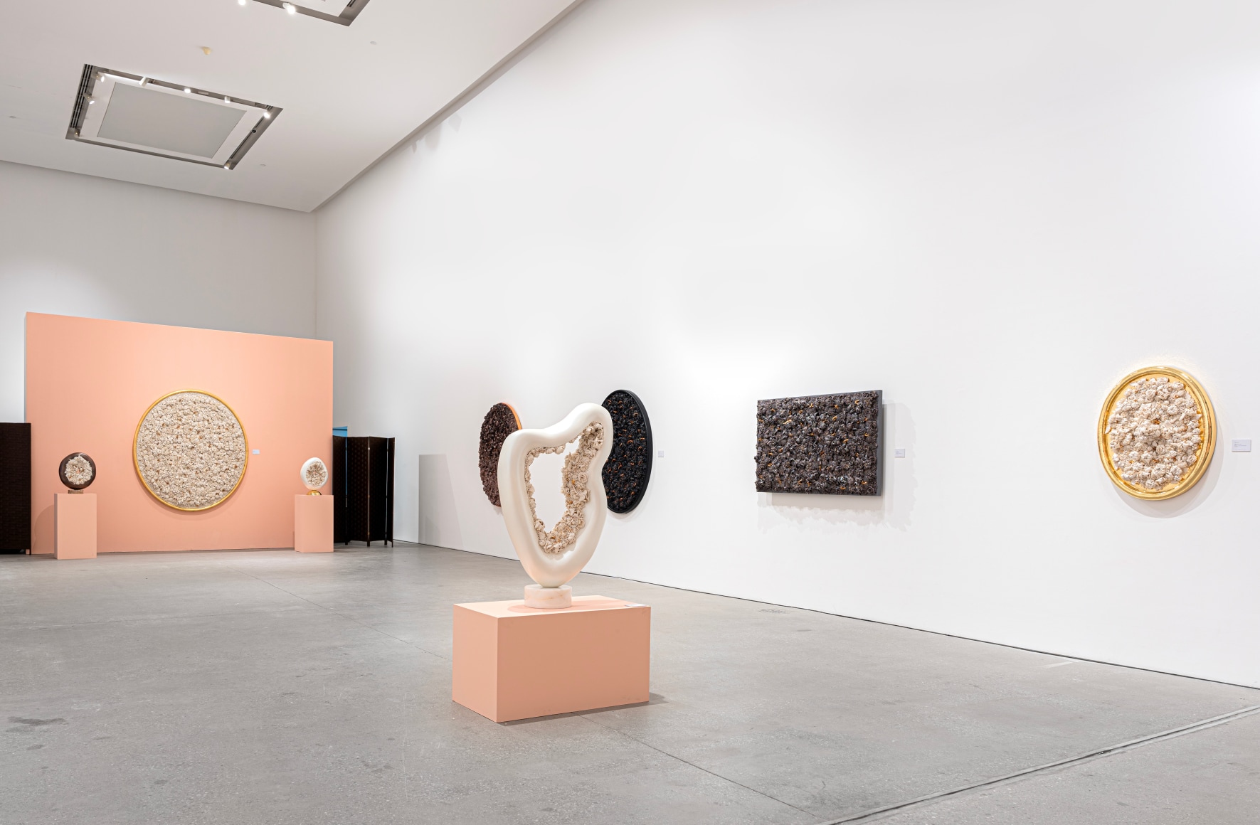 Melis Buyruk: Four Birds and One Soul