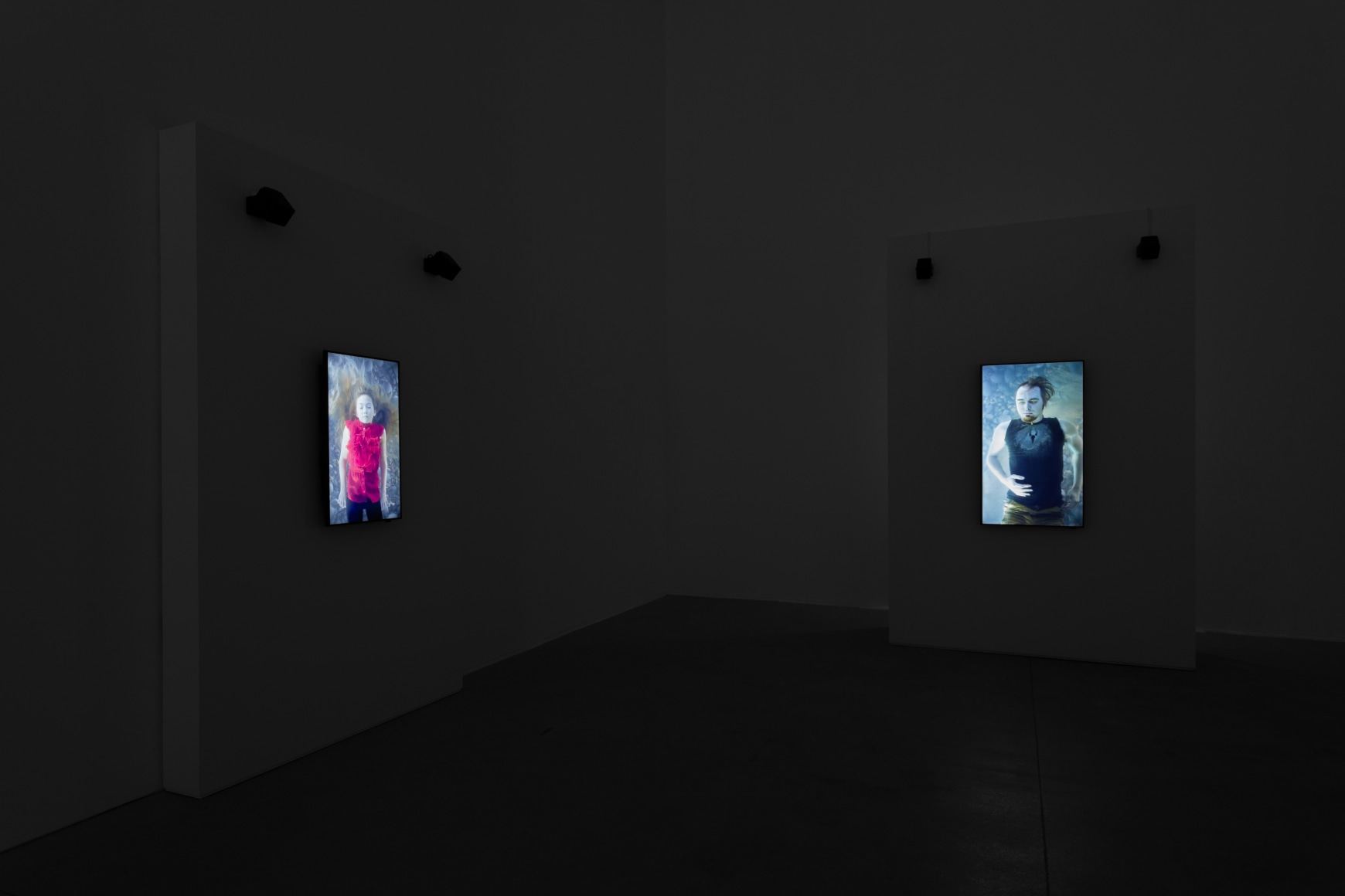 Bill Viola: The Vast
