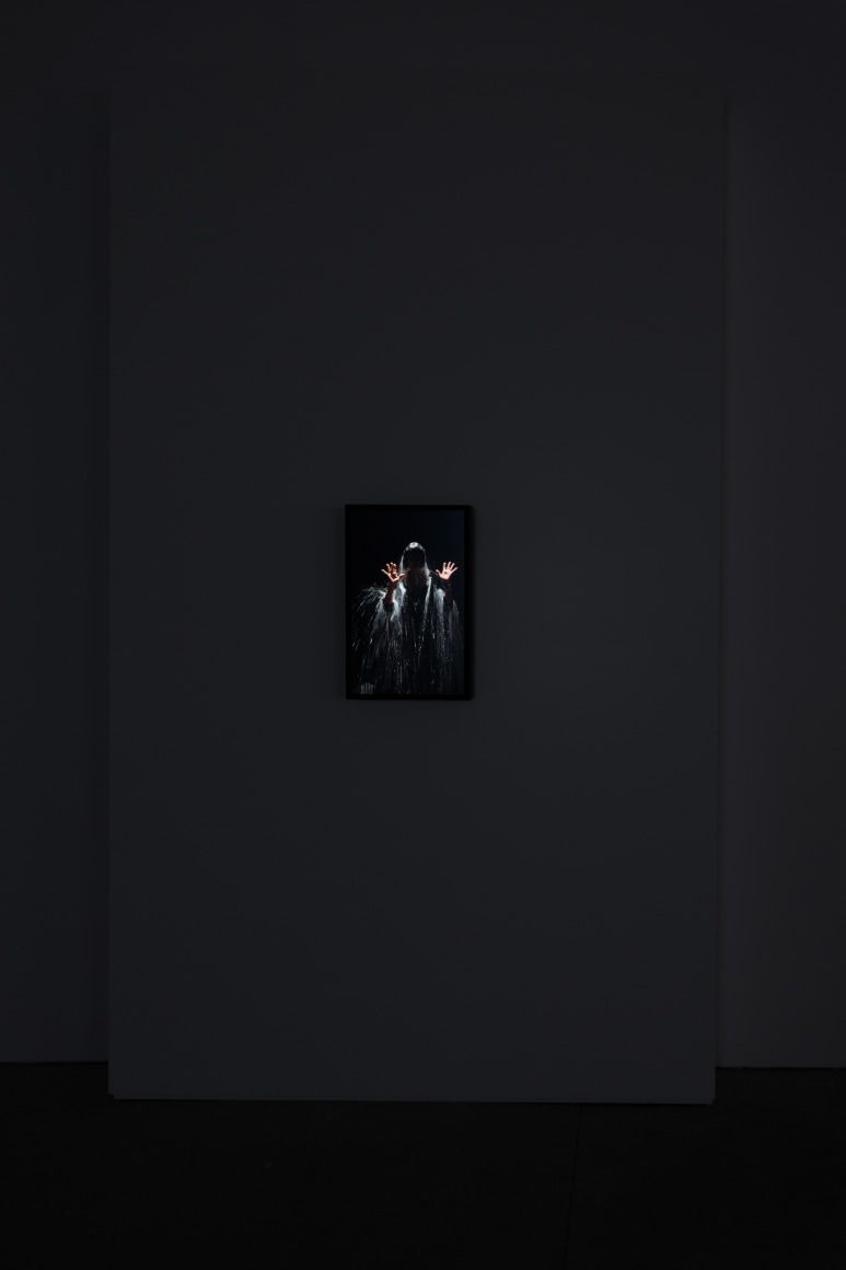 Bill Viola: The Vast