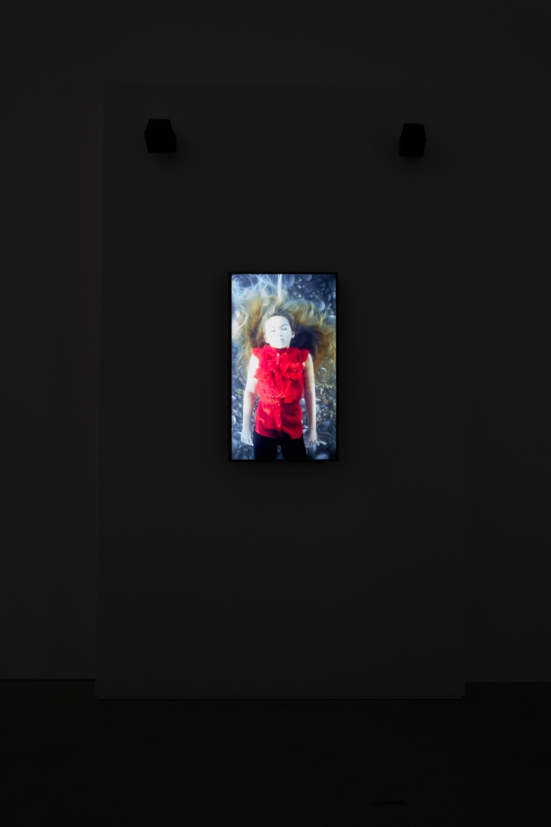 Bill Viola: The Vast