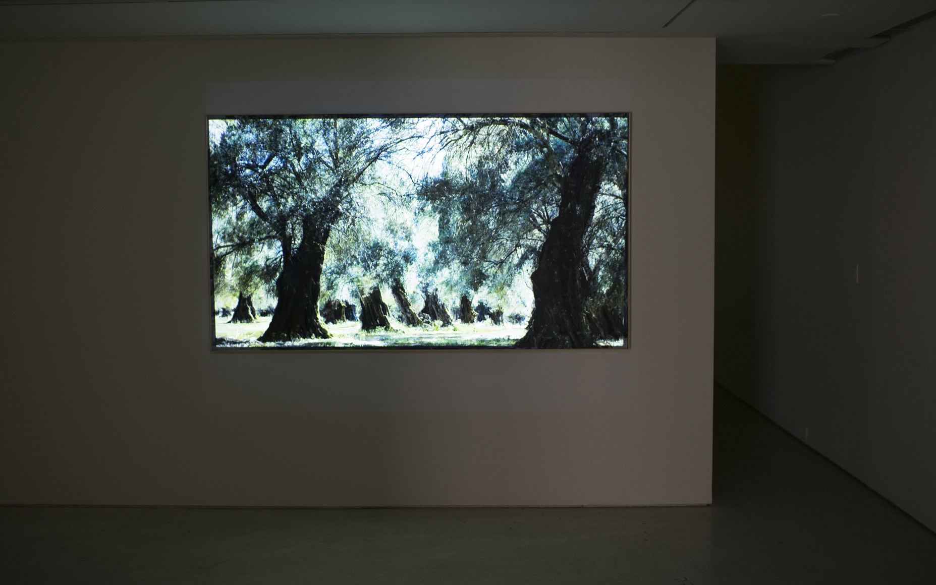 Shoja Azari &amp; Shahram Karimi: The Cold Earth Sleeps Below