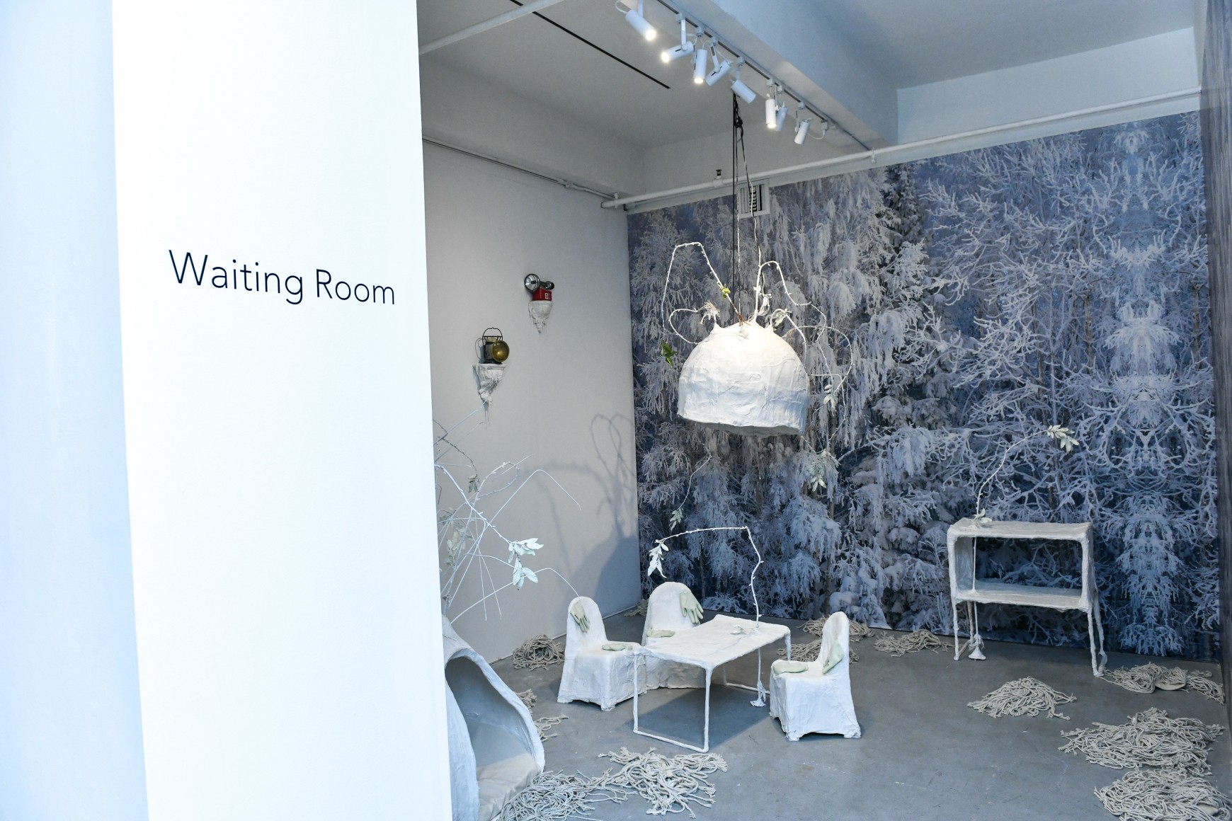 Rachel Lee Hovnanian: The Women's Trilogy Project