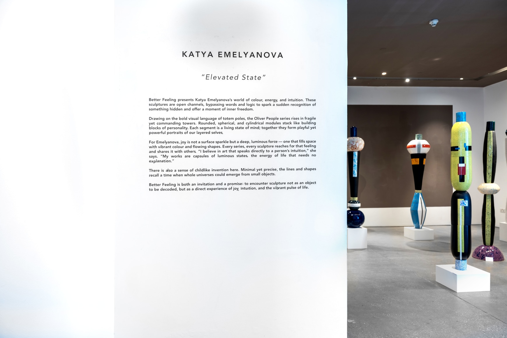Katya Emelyanova: Elevated State