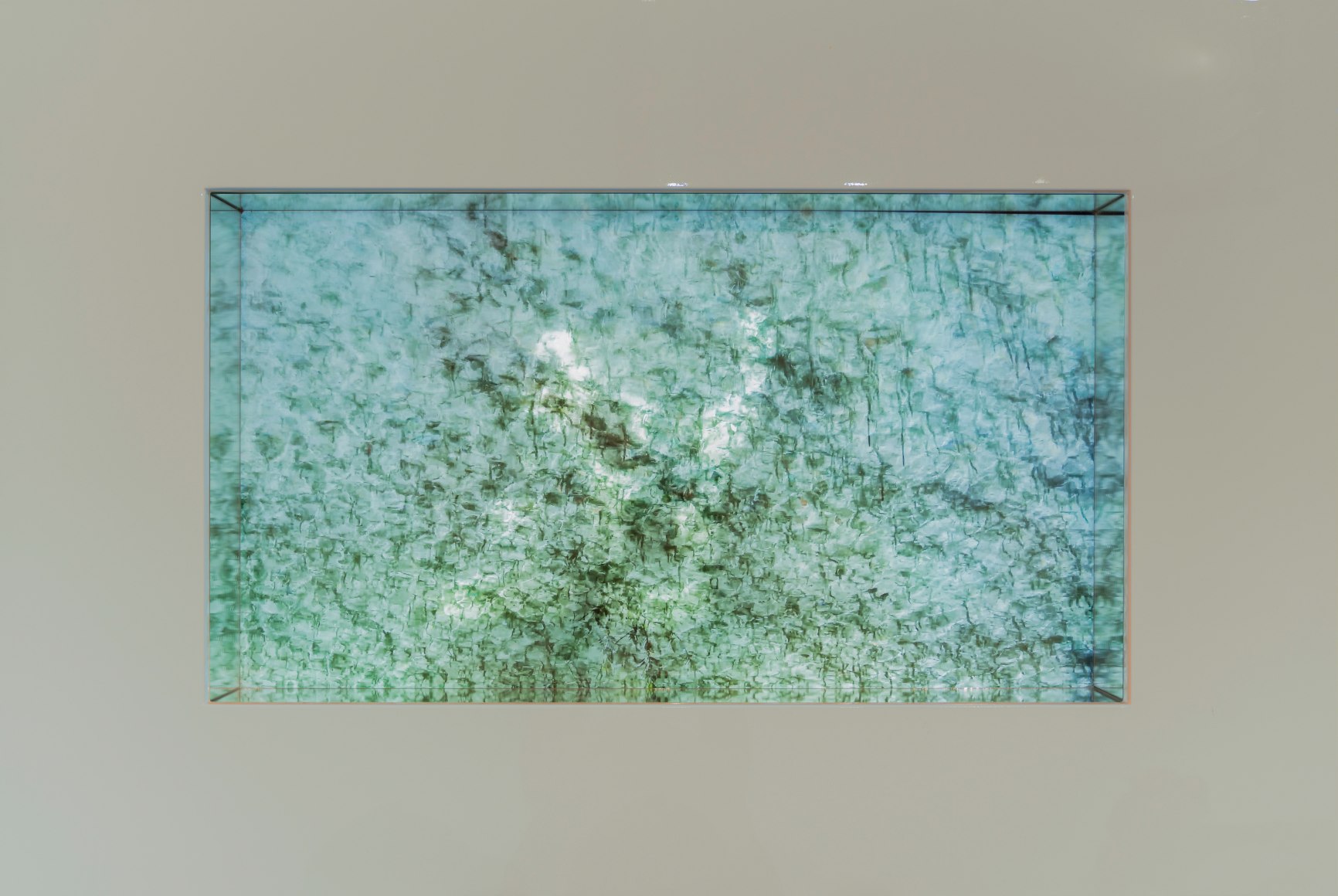 Maxi Cohen, Jubail Mangrove Park Abu Dhabi, 2022