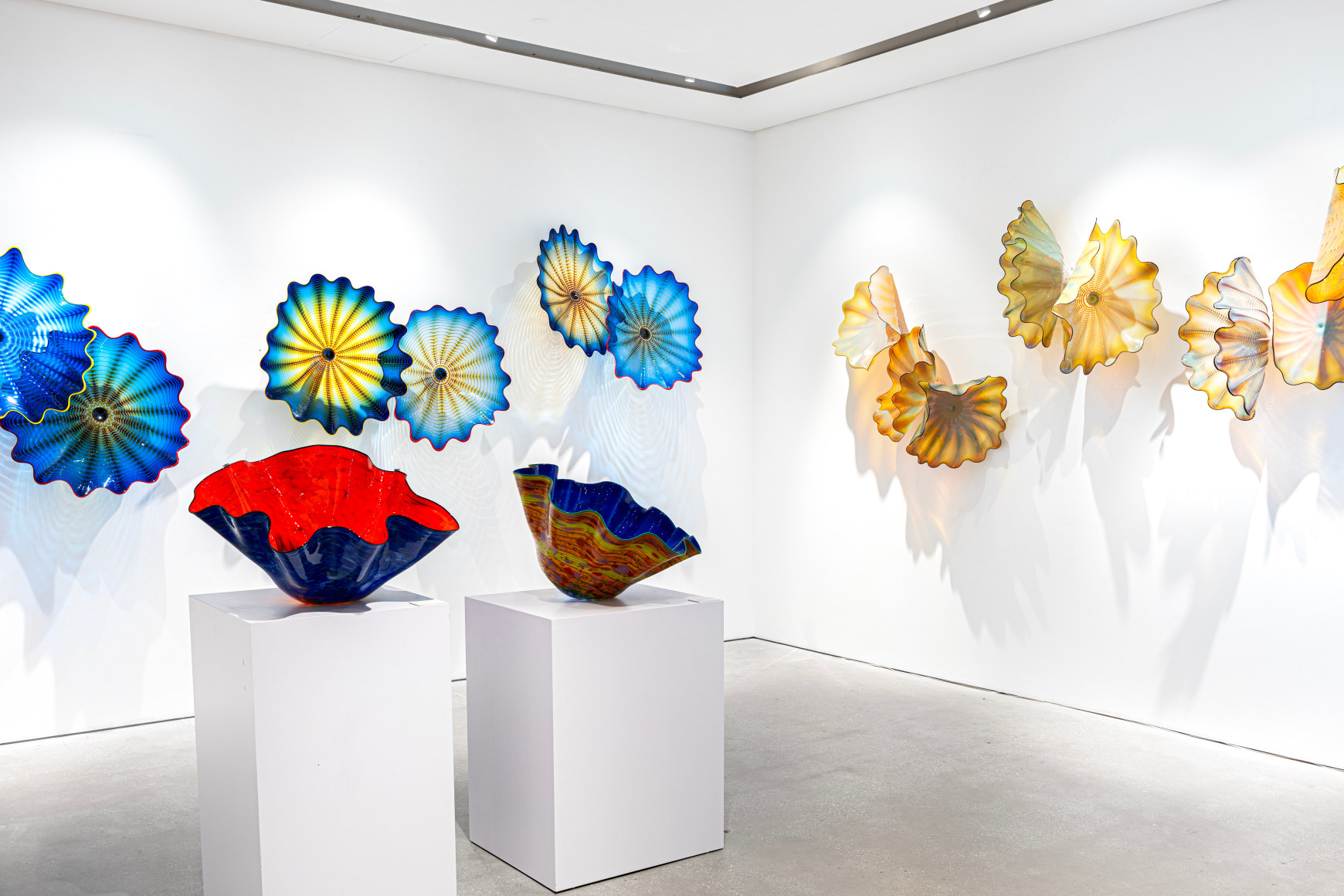 Chihuly: Selections From Four Decades of Iconic Work