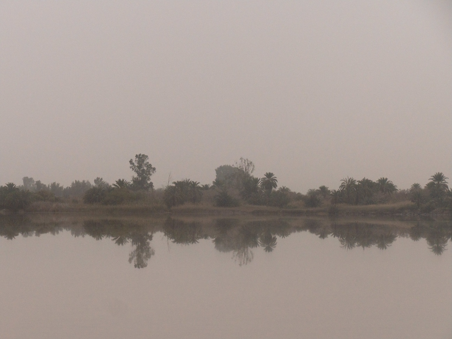 Maxi Cohen, Siwa Oasis Egypt, 2022