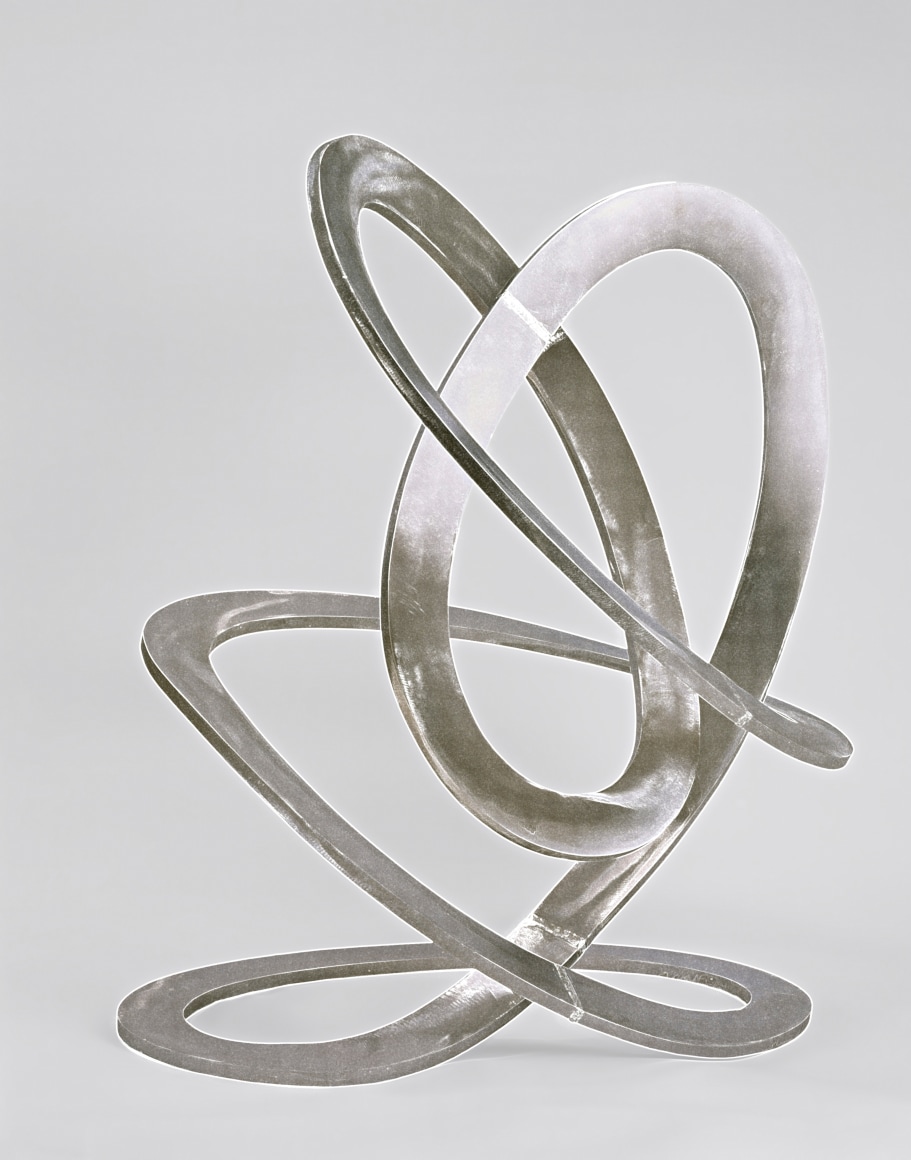 Arthur Carter Continuous Elliptical Loops, 2005