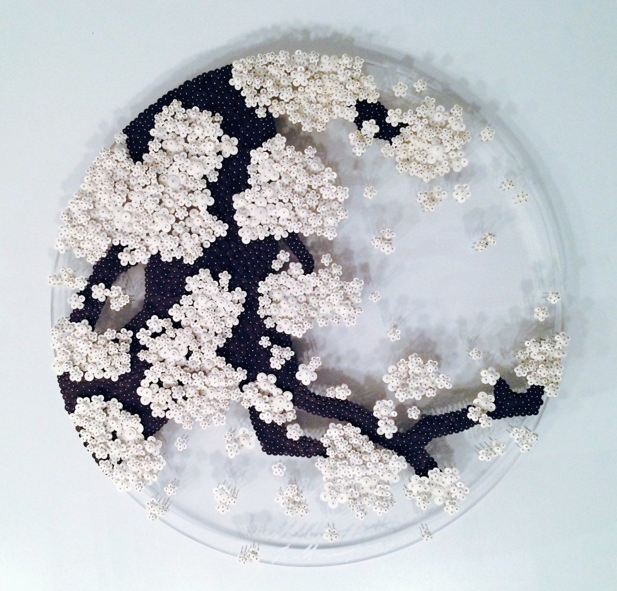 Ran Hwang Ode to Second Full Moon, 2015