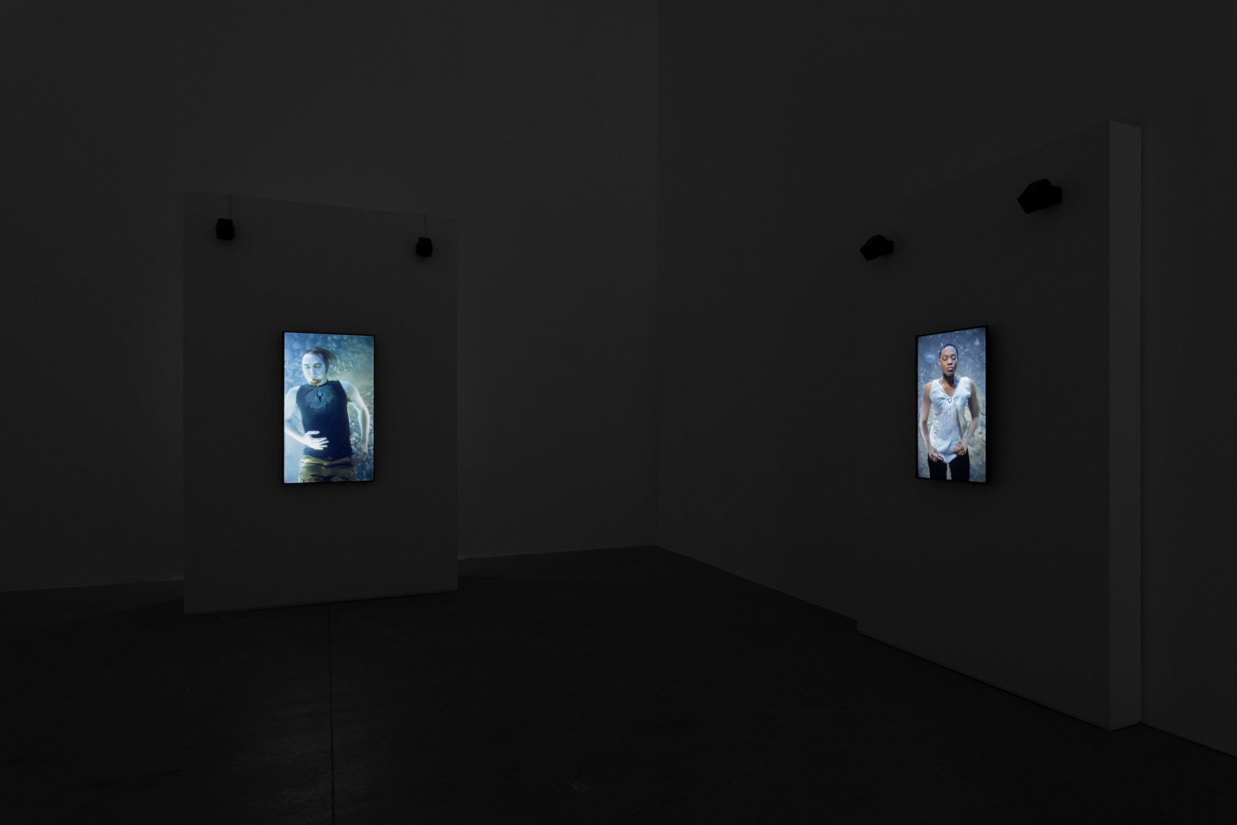 Bill Viola: The Vast