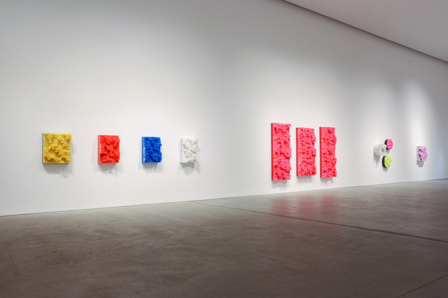 Francesca Pasquali - MATERIAL ANATOMY