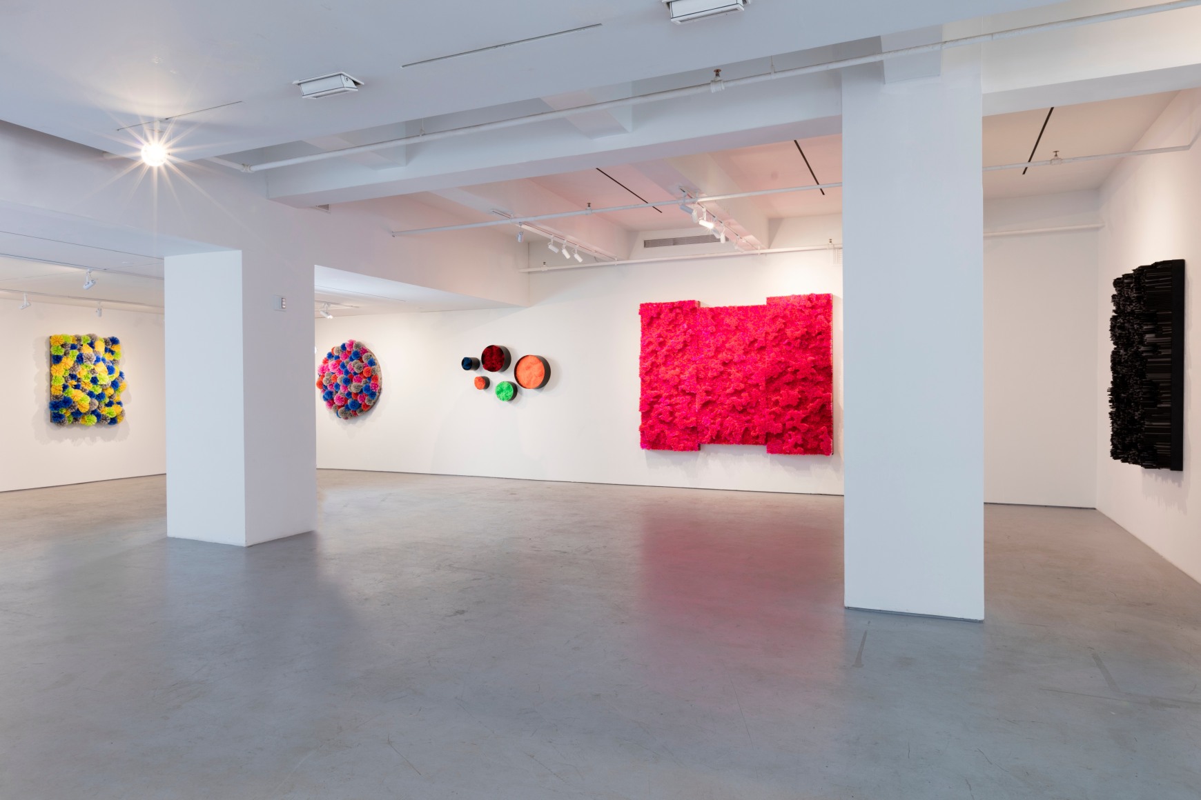 Francesca Pasquali: Plastic Resonance