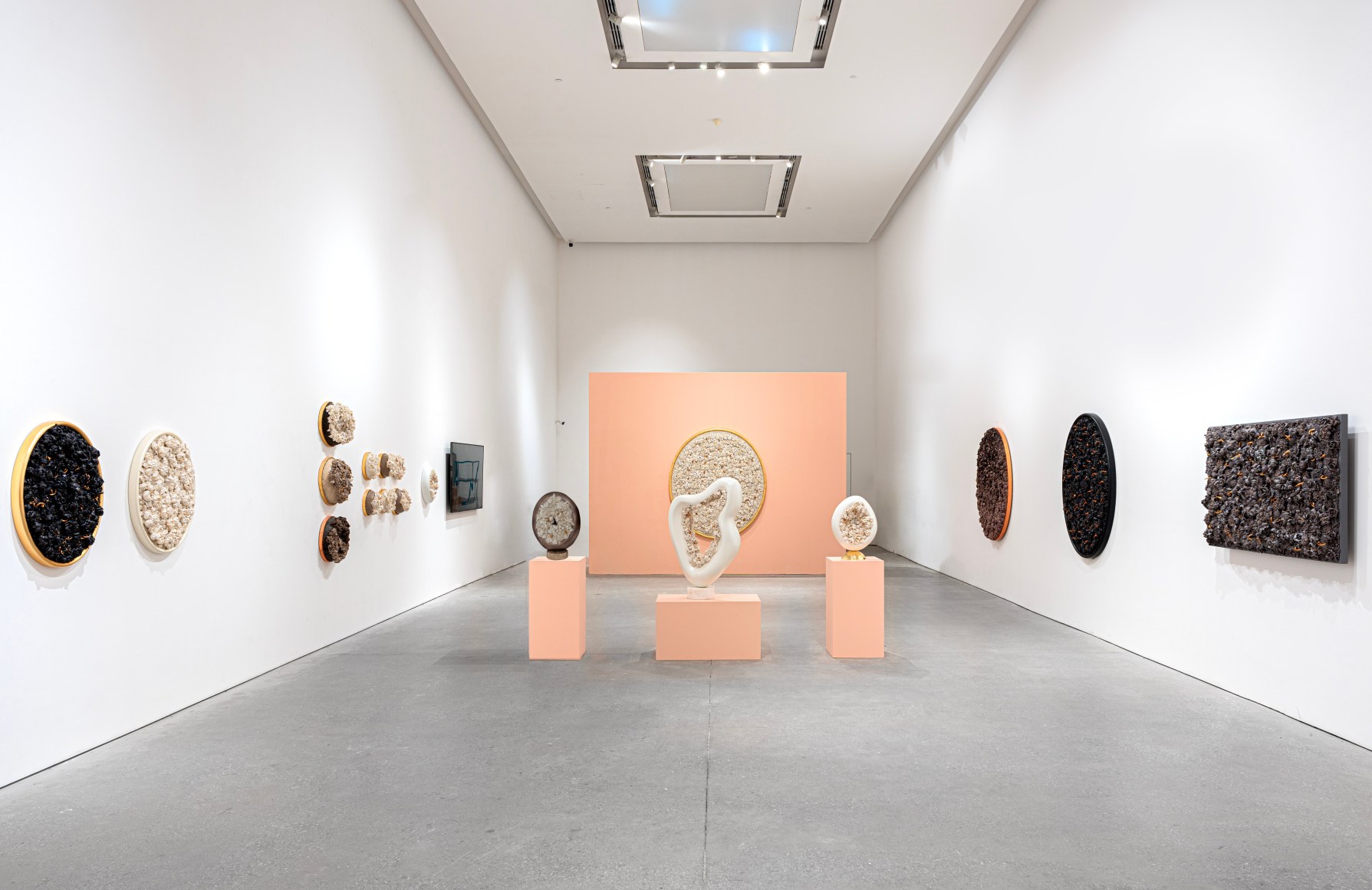 Melis Buyruk: Four Birds and One Soul