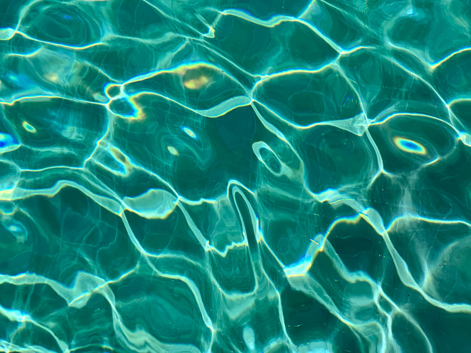 Maxi Cohen, Al Wathba, a Luxury Collection Desert Resort &amp;amp; Spa, Abu Dhabi, 2023