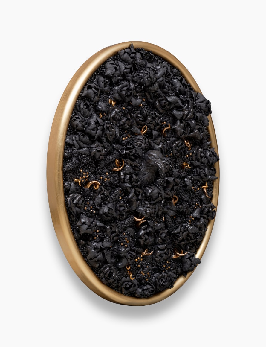 Melis Buyruk, The Crow (Symbol of Longing