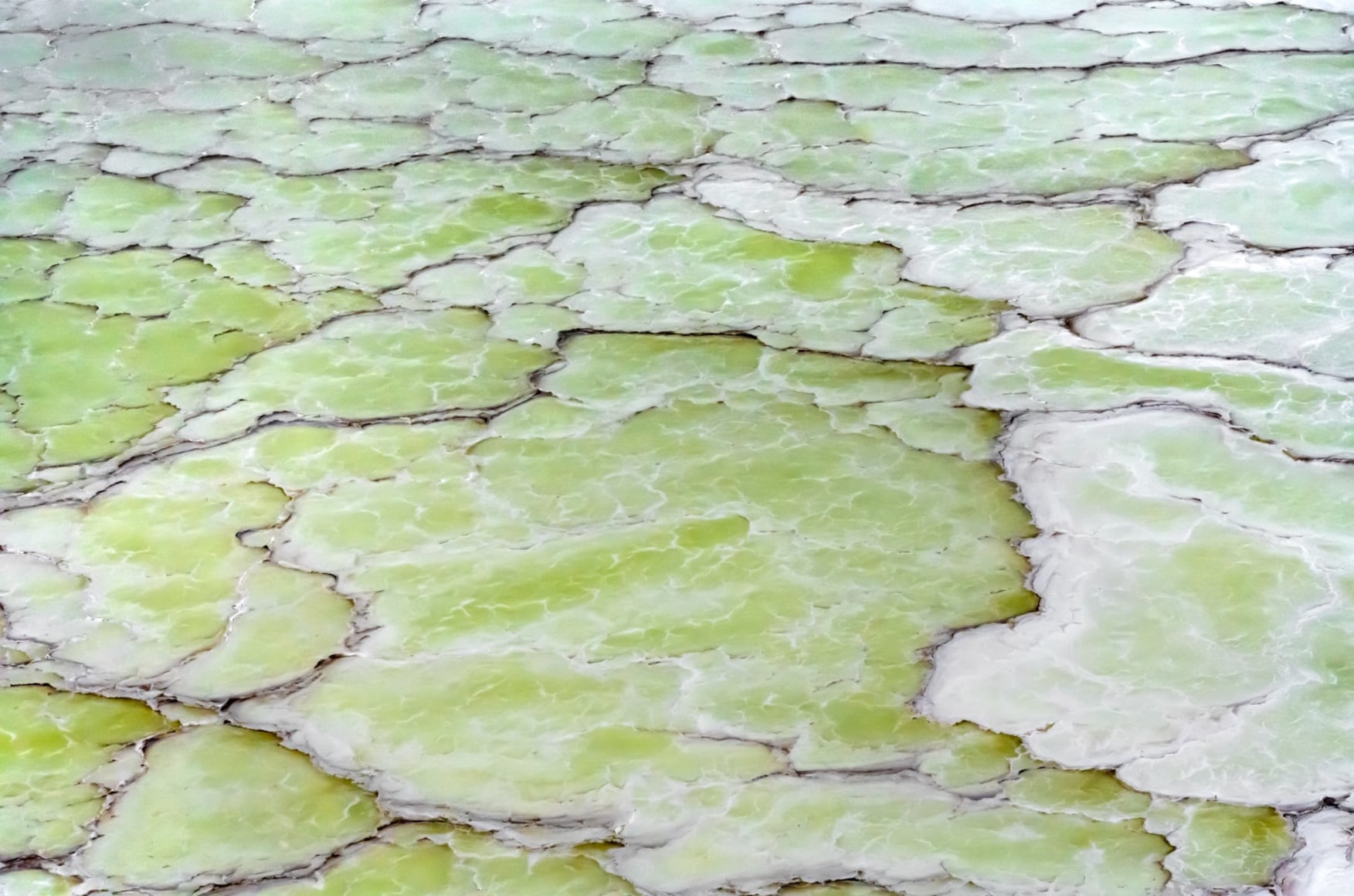 Diane Tuft, Vestige, 2022 &nbsp;