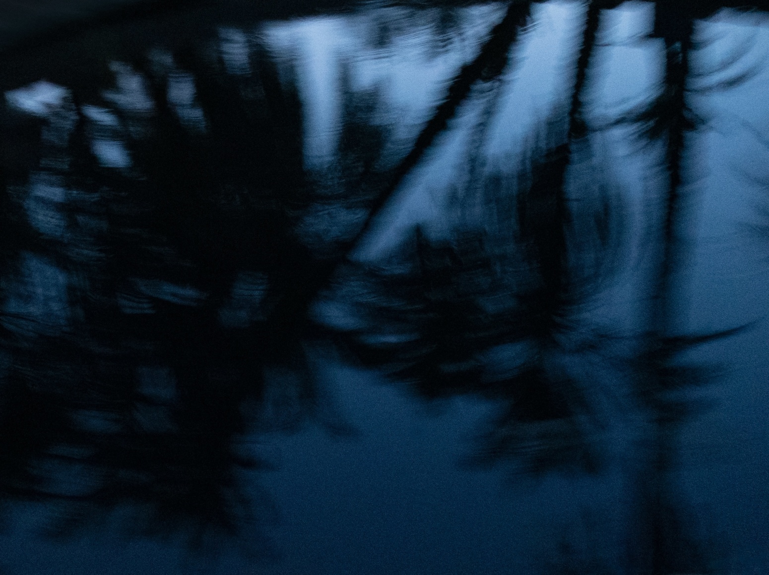 Maxi Cohen, Fatna Island Siwa Egypt, 2022