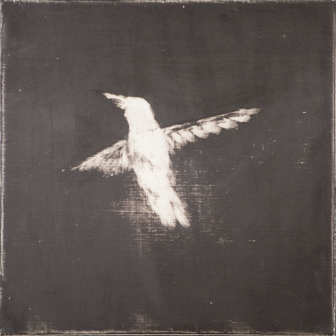 Untitled, 2015, Oil on linen