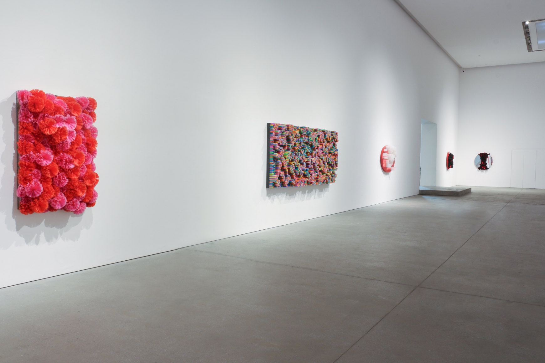 Francesca Pasquali - MATERIAL ANATOMY