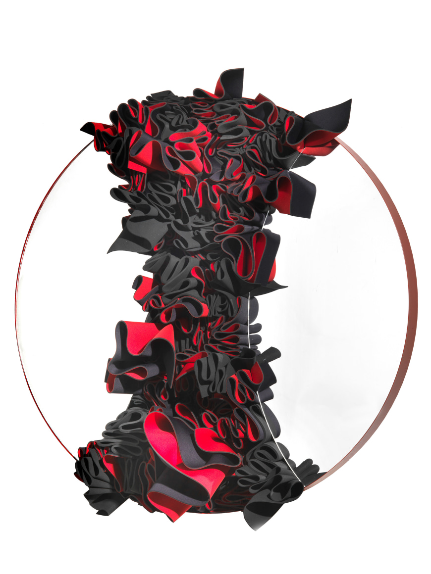 Frappa, 2016 Neoprene on Plexiglass with Metal Frame