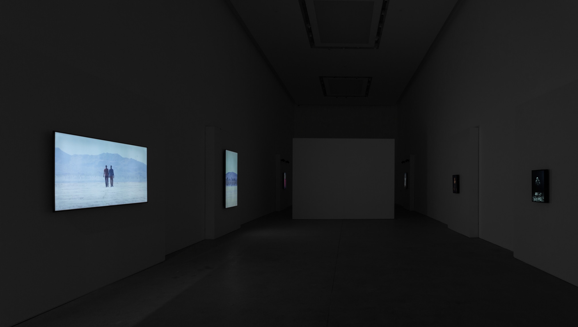 Bill Viola: The Vast