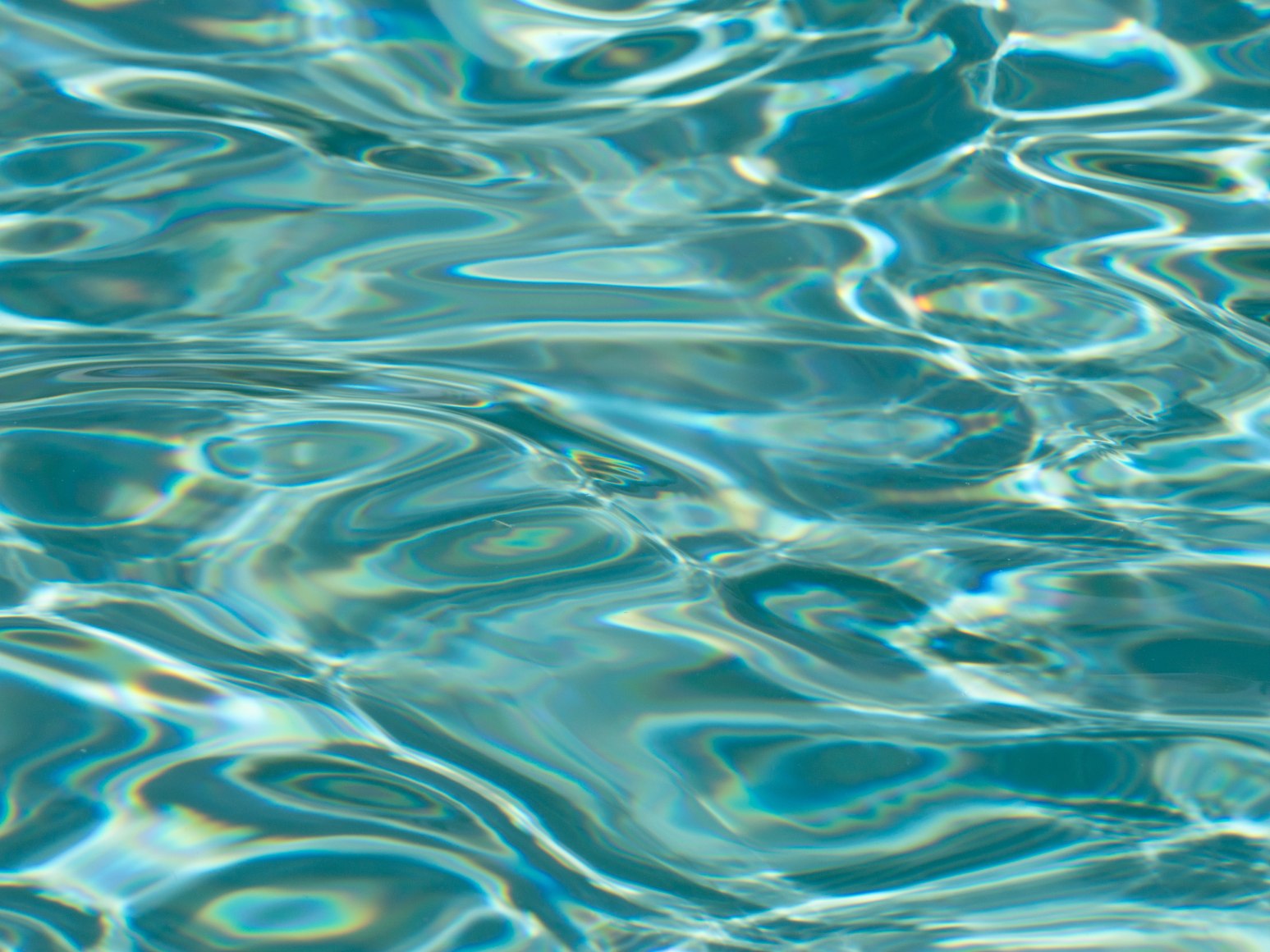 Maxi Cohen, Al Wathba, a Luxury Collection Desert Resort &amp;amp; Spa, Abu Dhabi, 2023