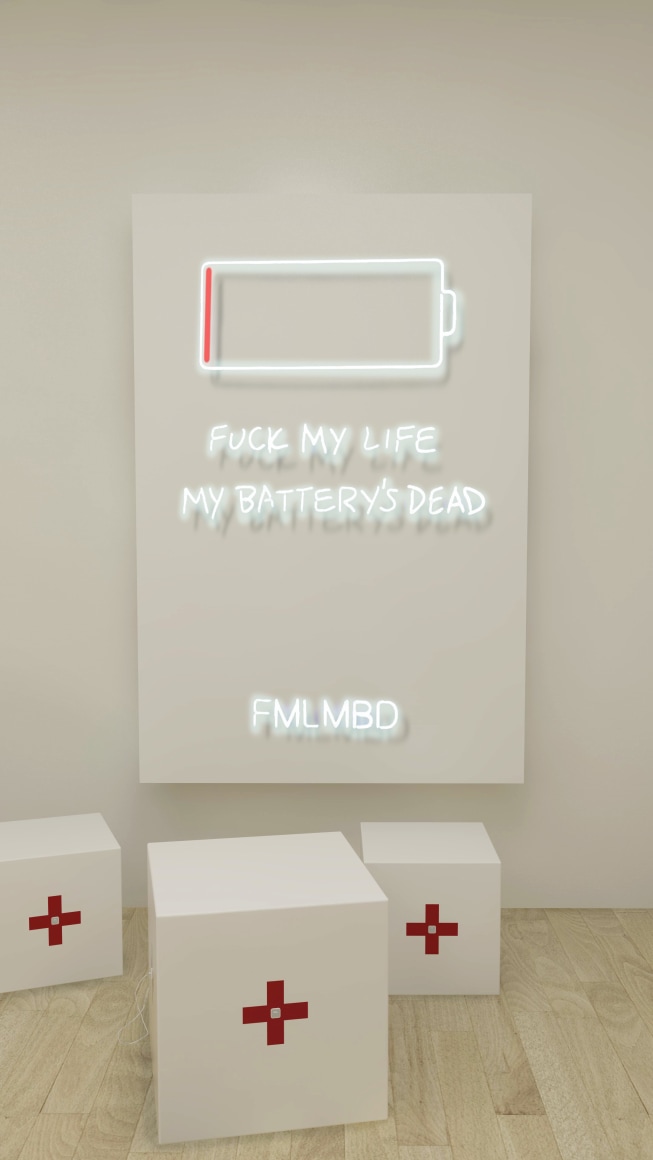Rachel Lee Hovnanian, FMLMBD, 2017, Installation