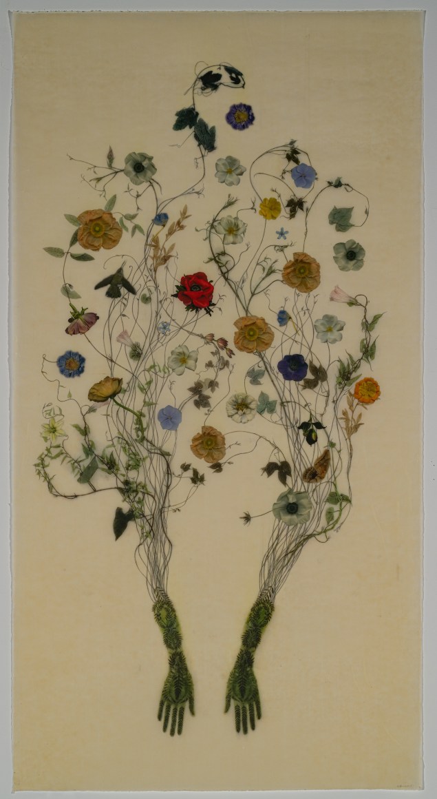 Valerie&nbsp;Hammond Traces (Cosmos), 2019