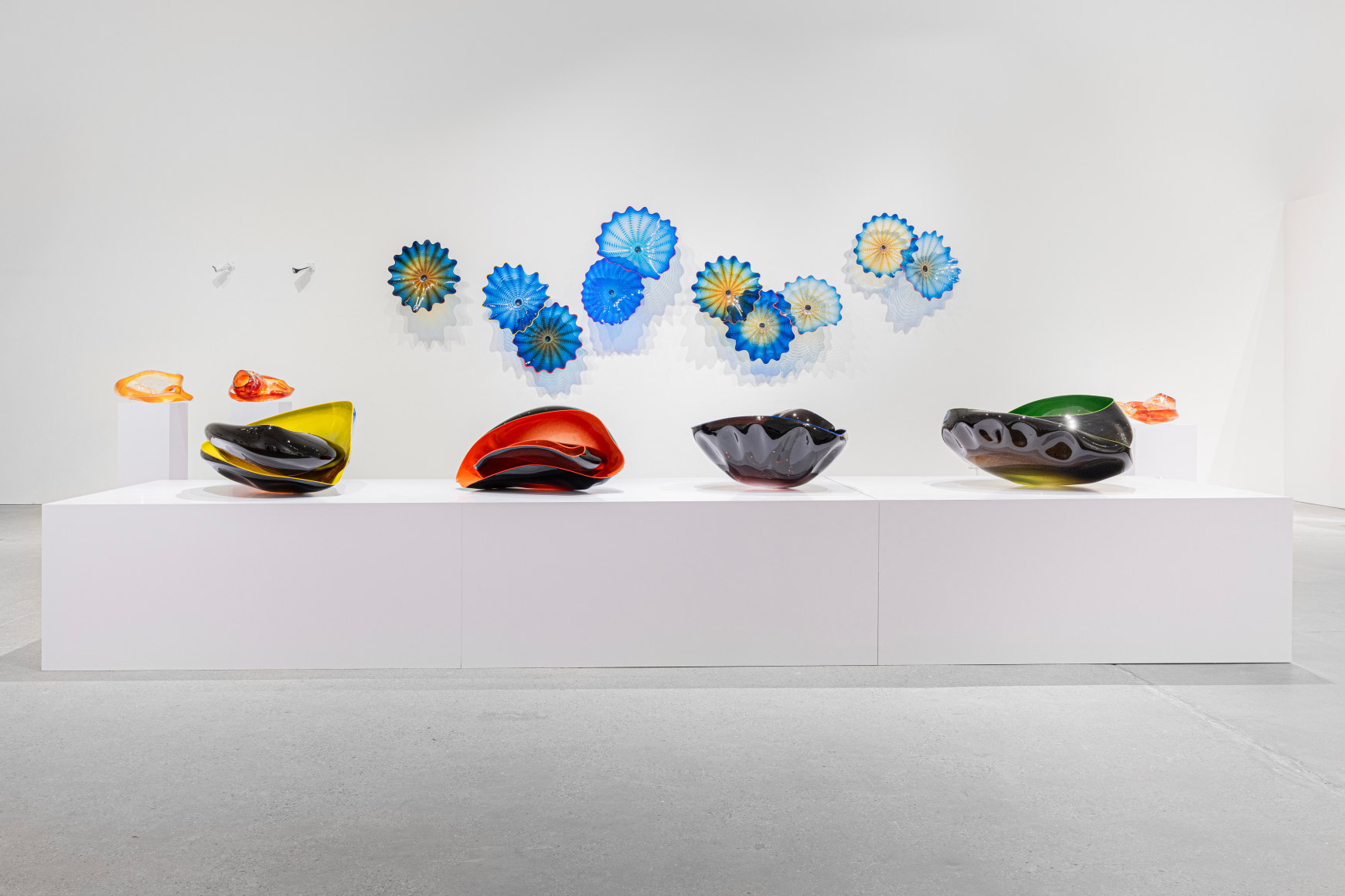 Chihuly: Four Decades of Iconic Work