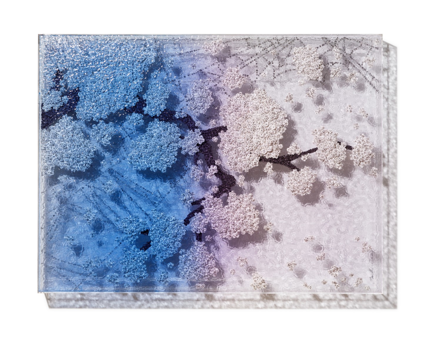 Mystery Life_BW, 2021, Paper buttons, beads, pins, on plexiglass and acrylic frame