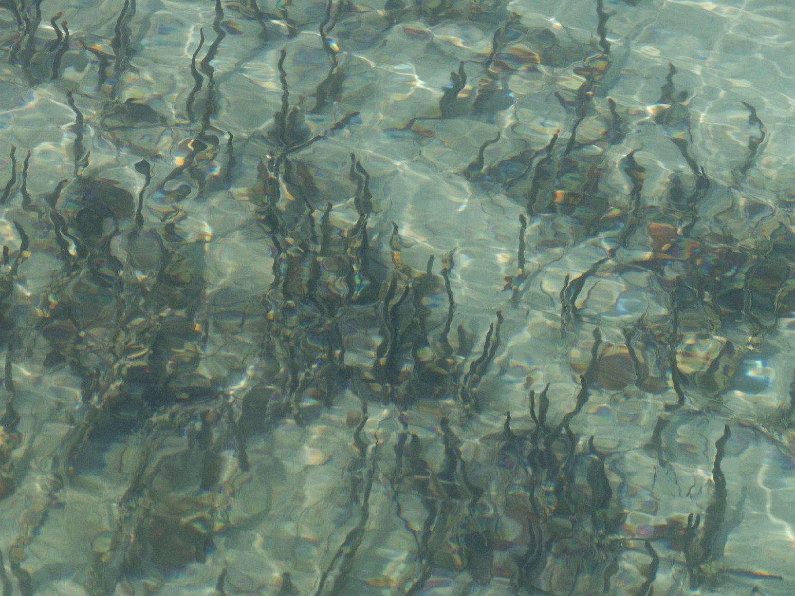 Maxi Cohen, Jubail Mangrove Park Abu Dhabi, 2022