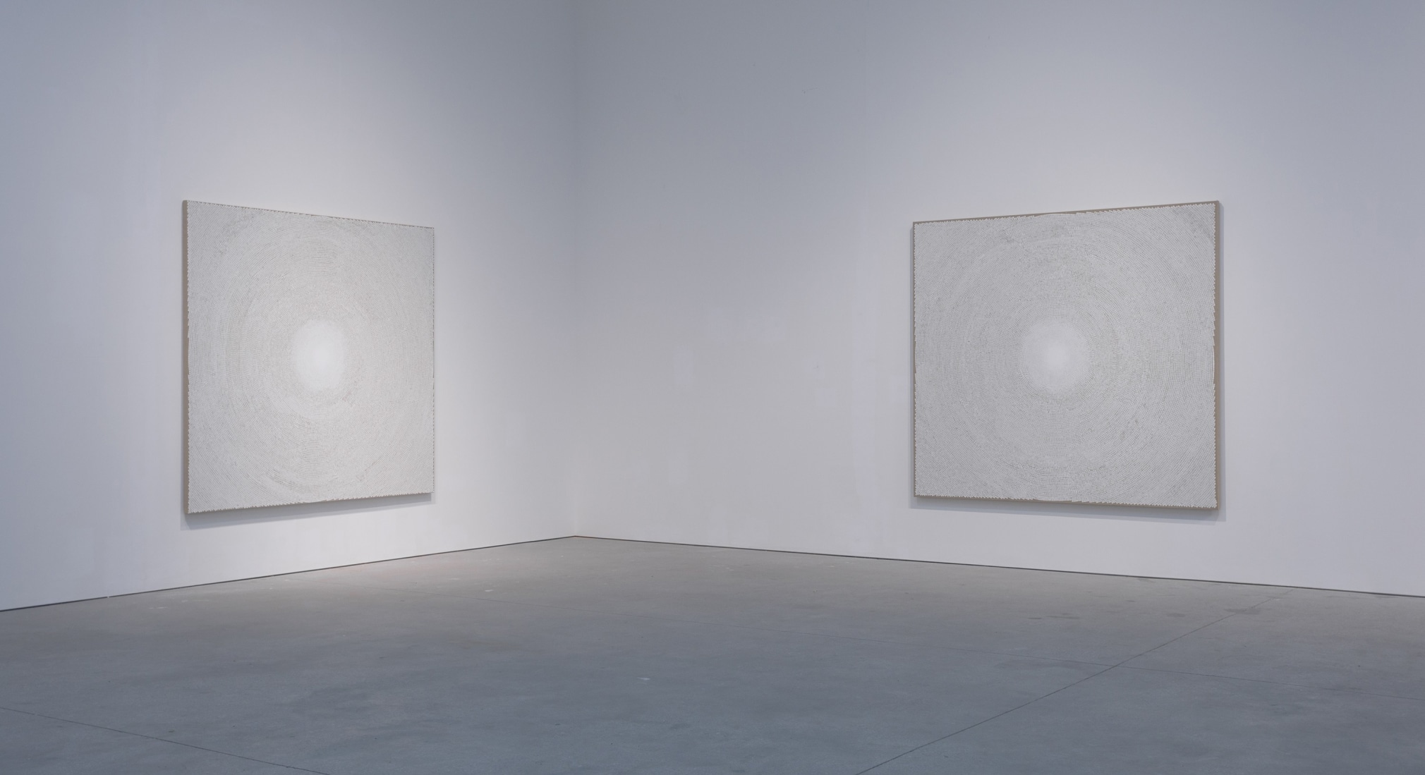 Y.Z. Kami: White Domes