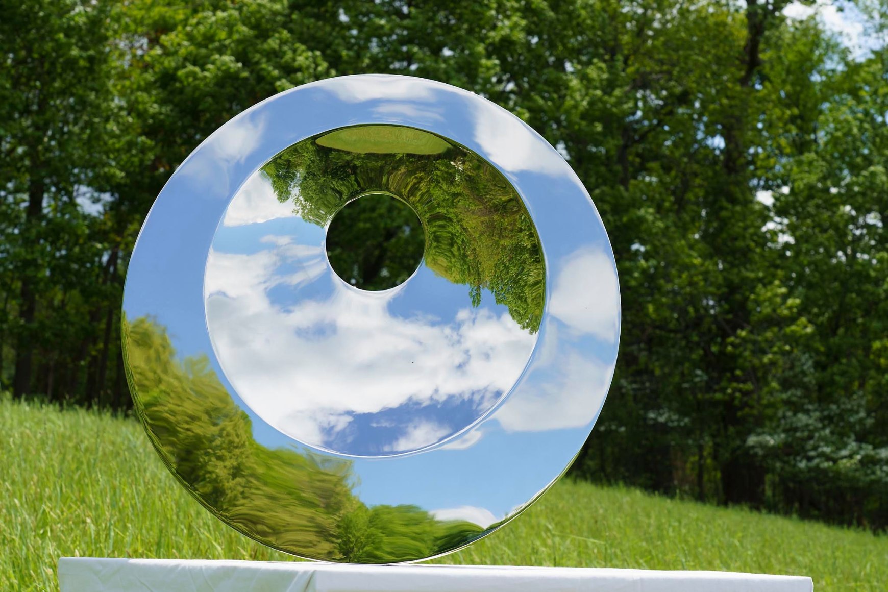 Tarik Currimbhoy: Sculpture in Motion