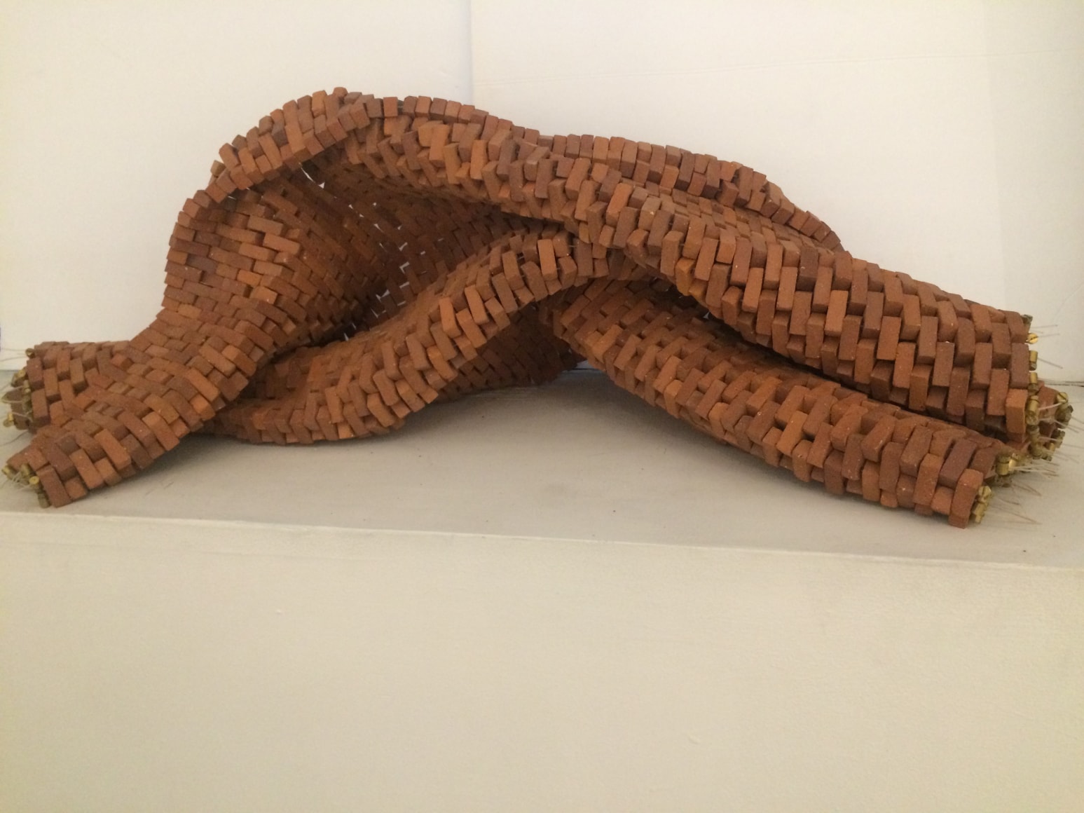 Small Lifeline, 2015