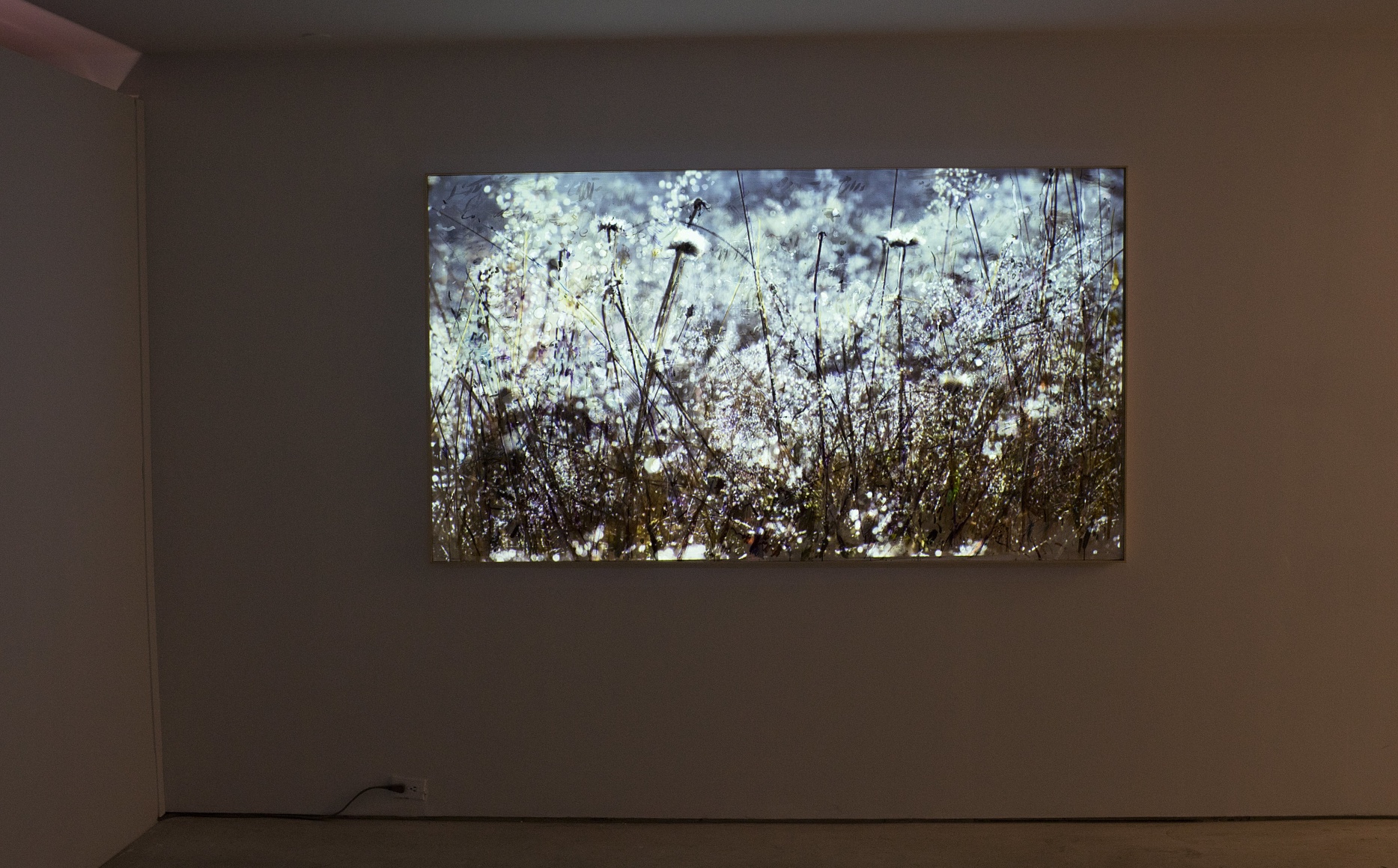 Shoja Azari &amp; Shahram Karimi: The Cold Earth Sleeps Below