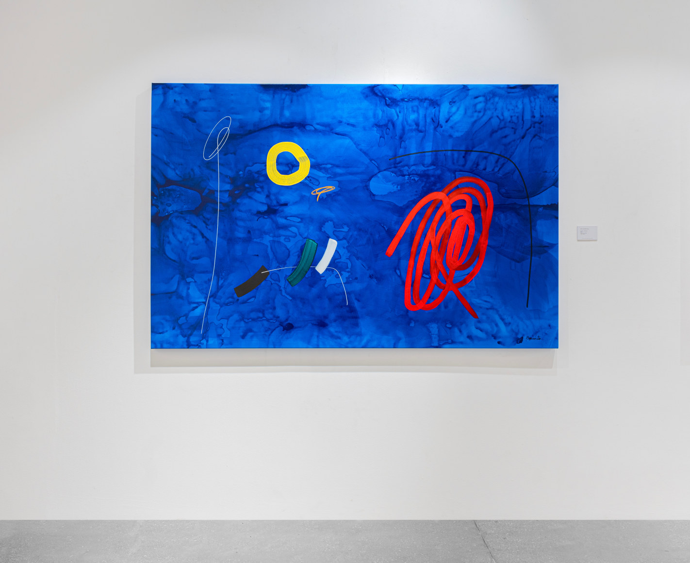 María Jos&eacute; Benvenuto: Nature's Pulse