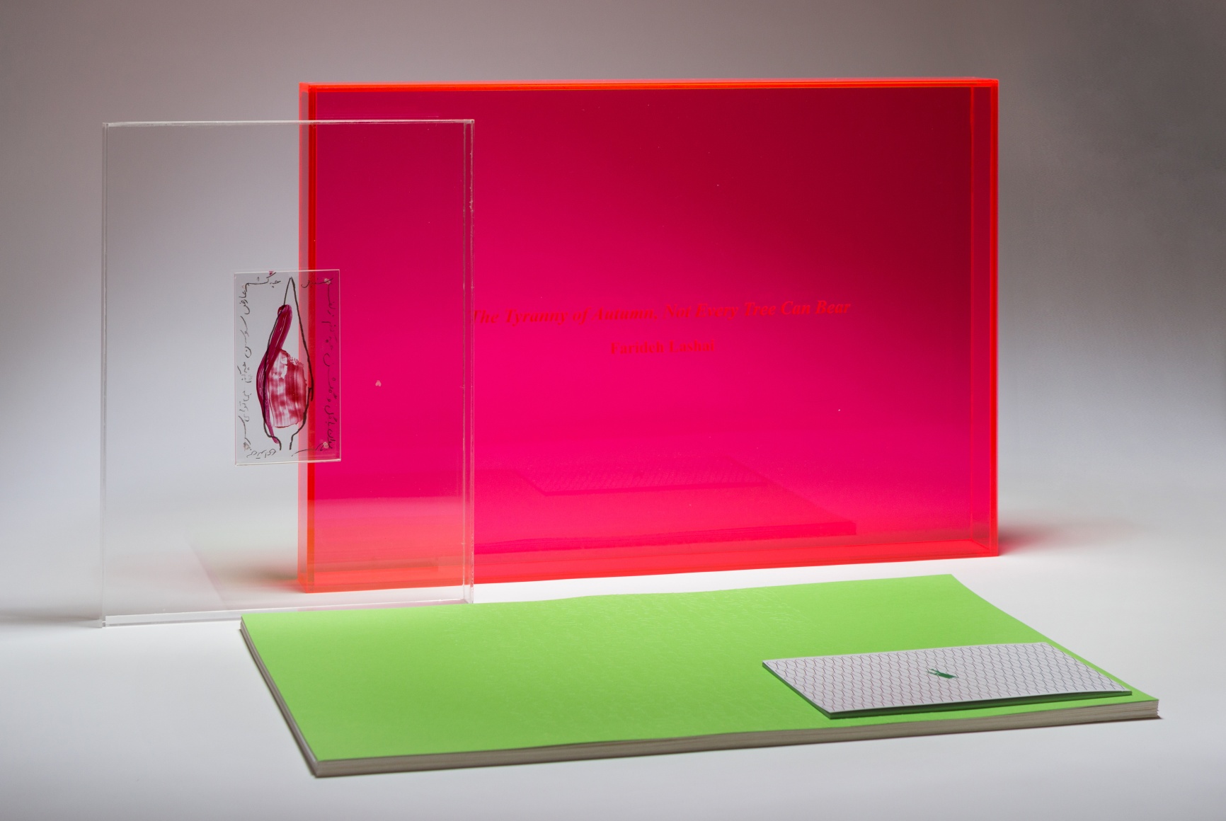 Farideh Lashai: 'The Tyranny of Autumn' Silkscreen Portfolio