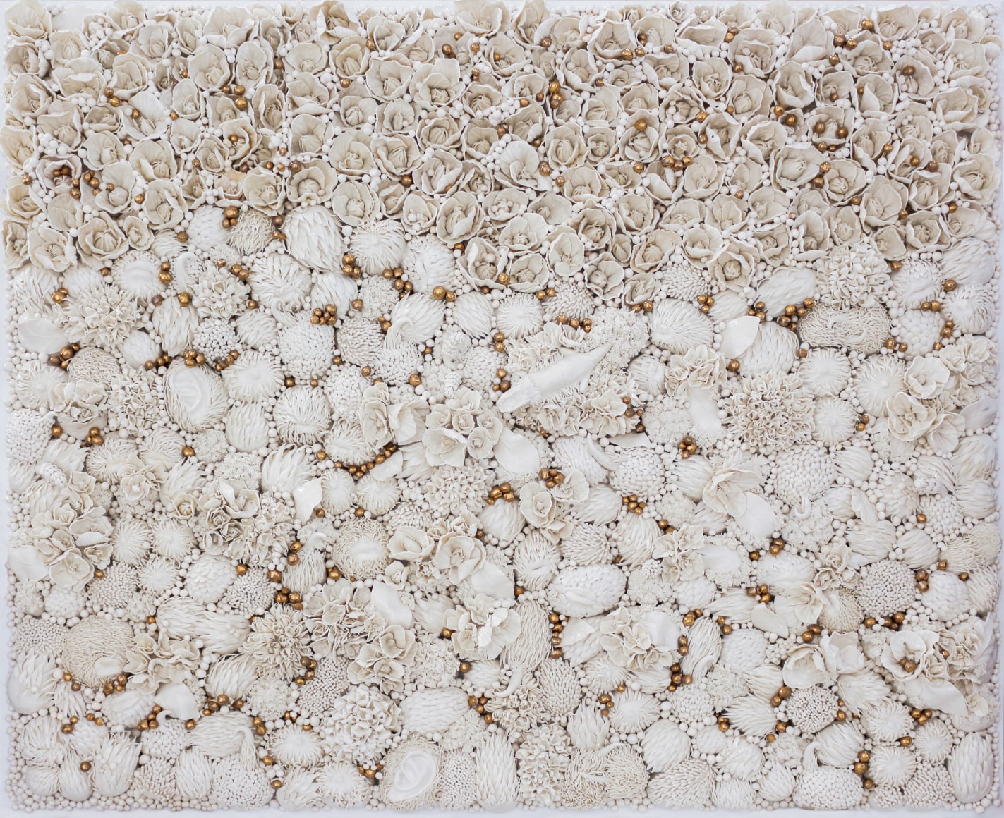 Habitat The Bearded Dragon, 2019