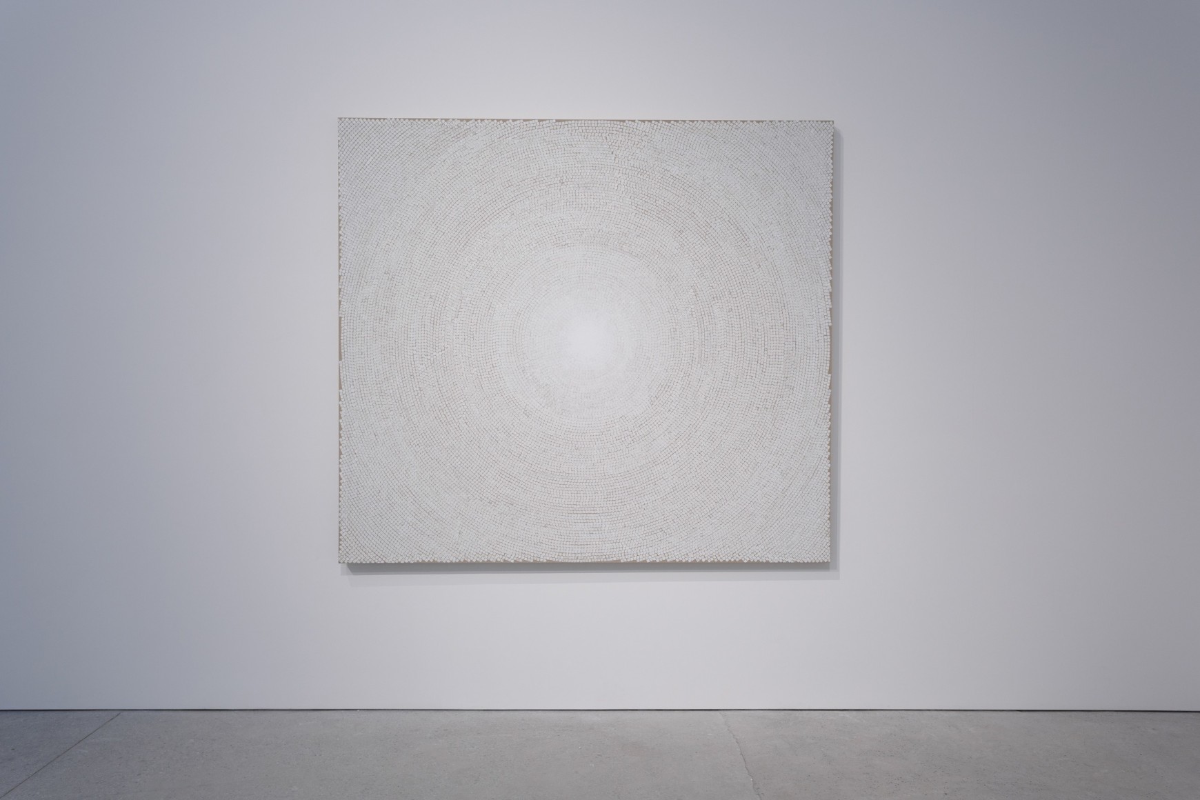 Y.Z. Kami: White Domes