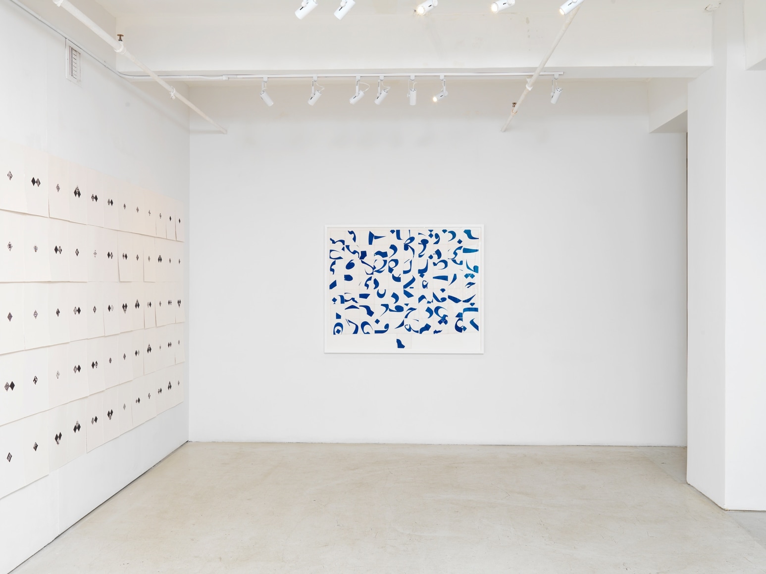 Pouran Jinchi: Black and Blue