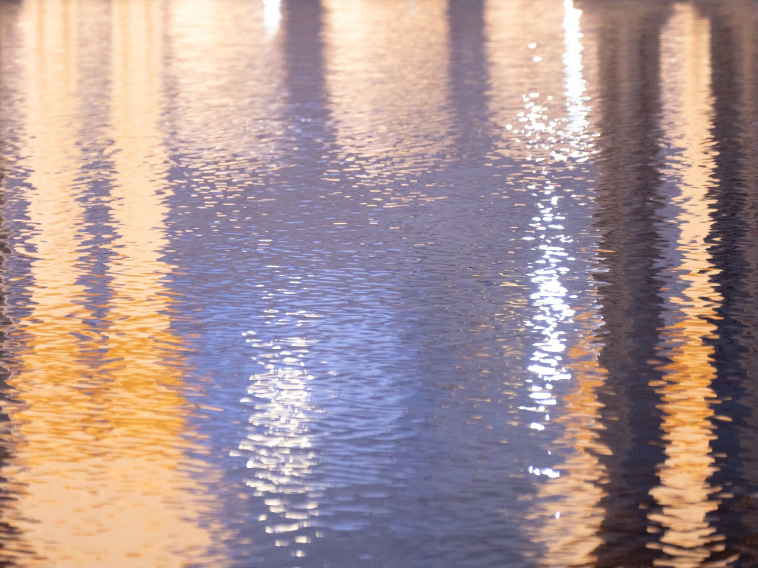 Maxi Cohen, Sheikh Zayed Grand Mosque Abu Dhabi, 2022