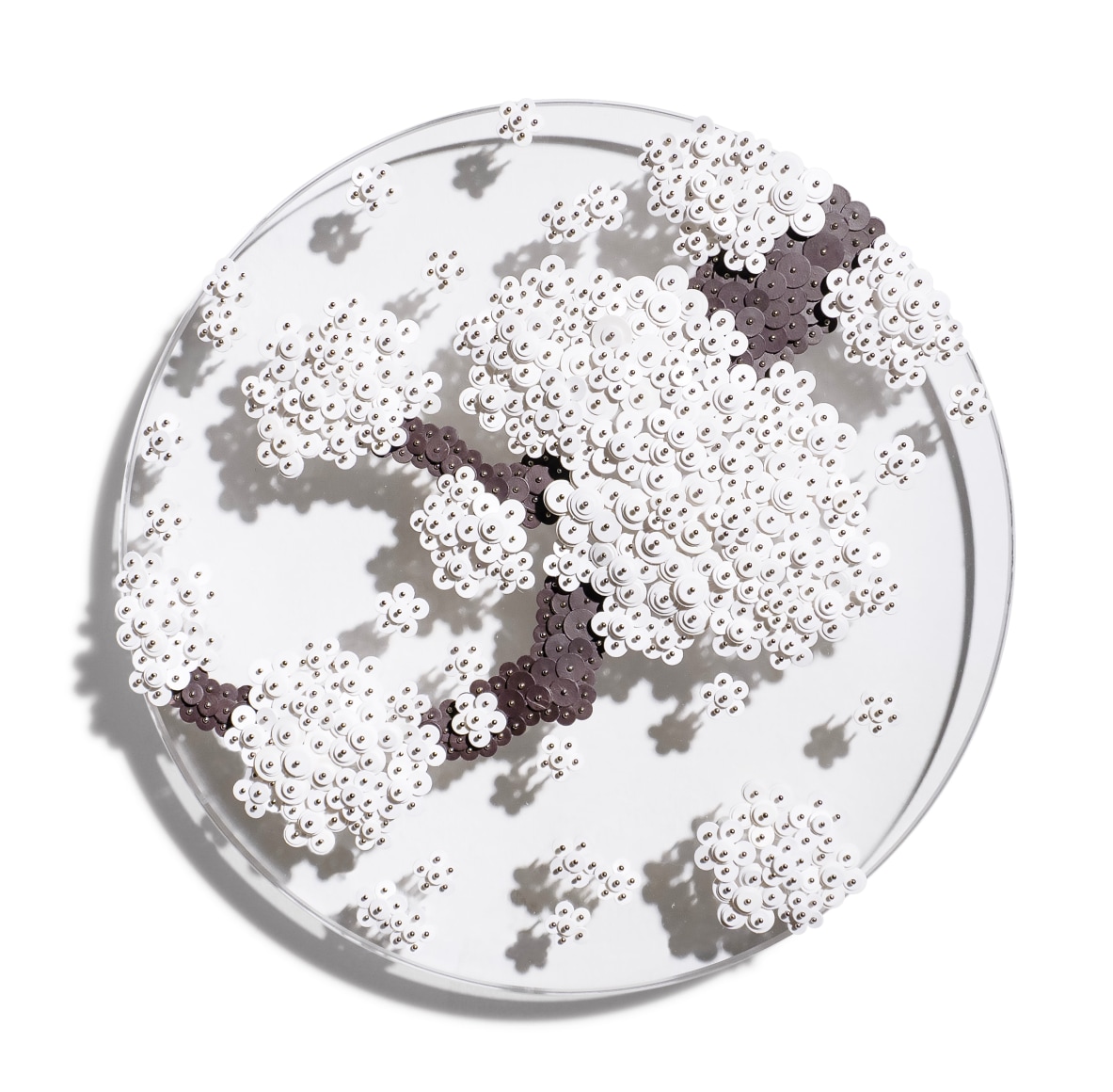 Ran Hwang, Ode to Full Moon_0233, 2023