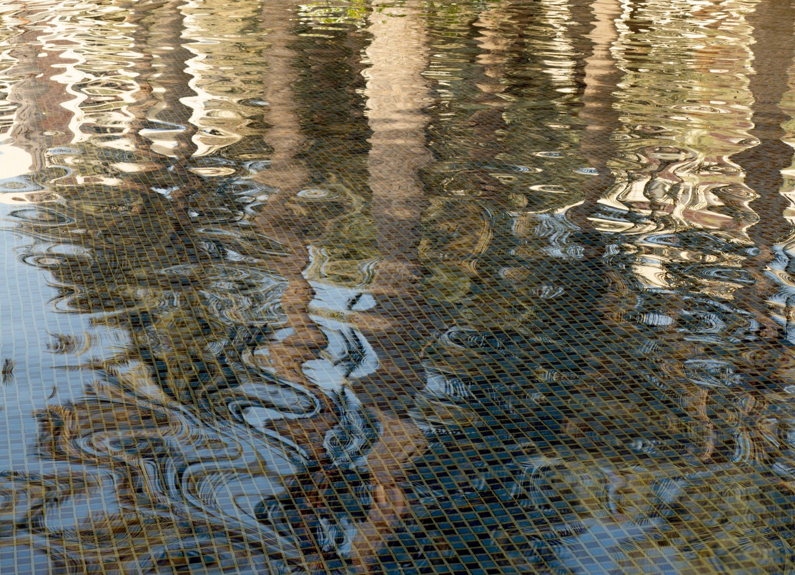 Maxi Cohen, Pool Abu Dhabi, 2022