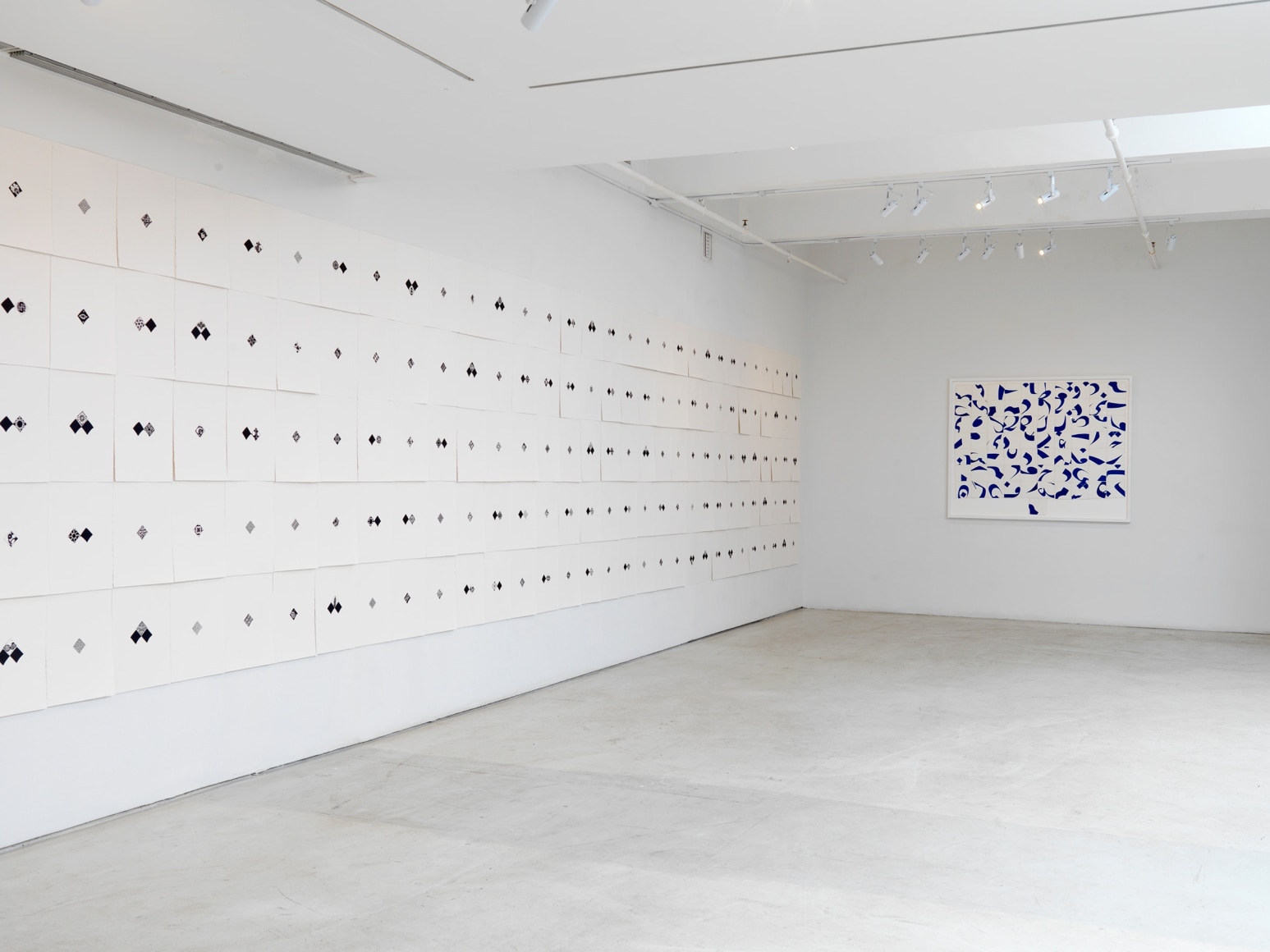 Pouran Jinchi: Black and Blue