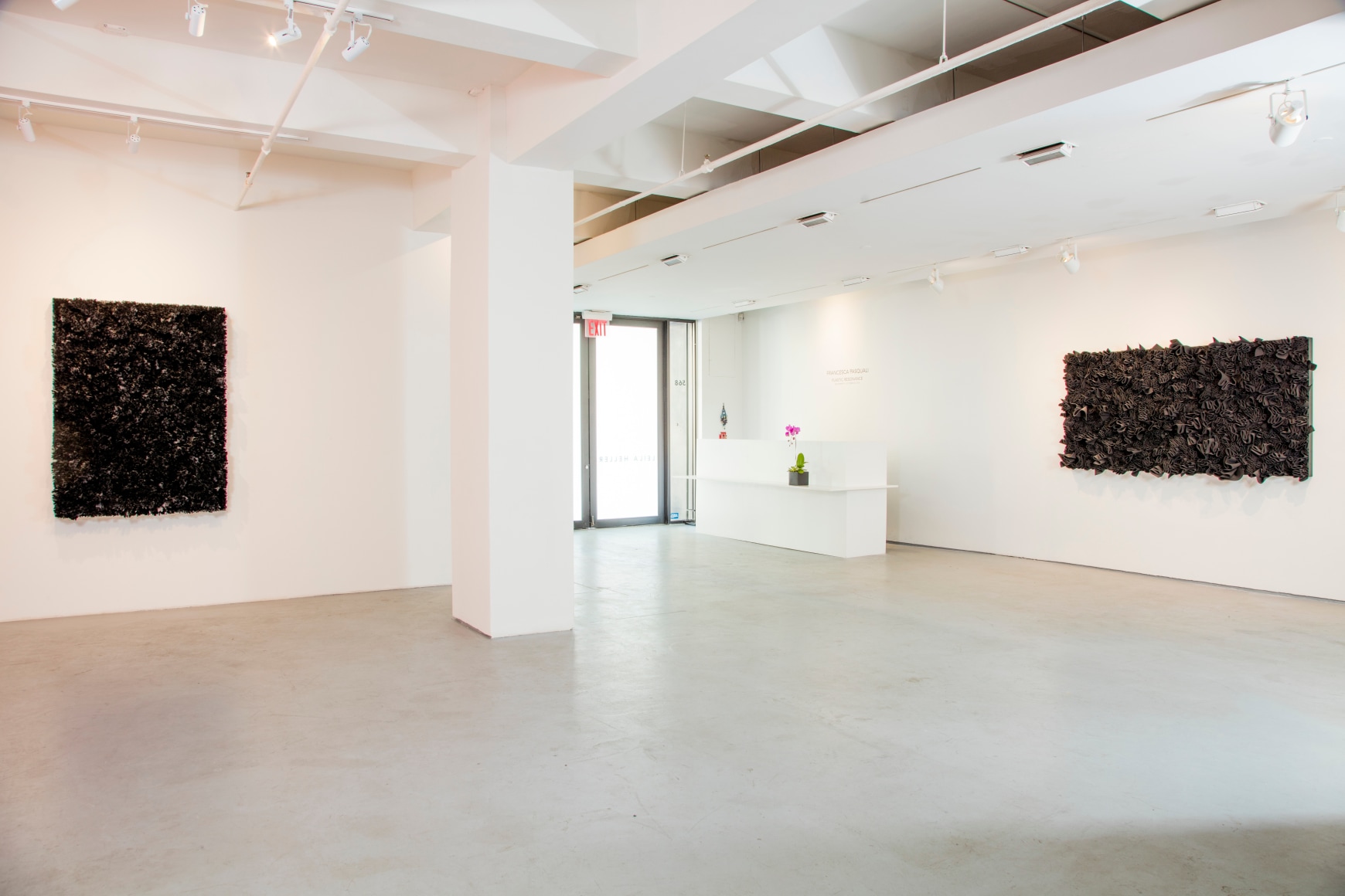 Francesca Pasquali: Plastic Resonance