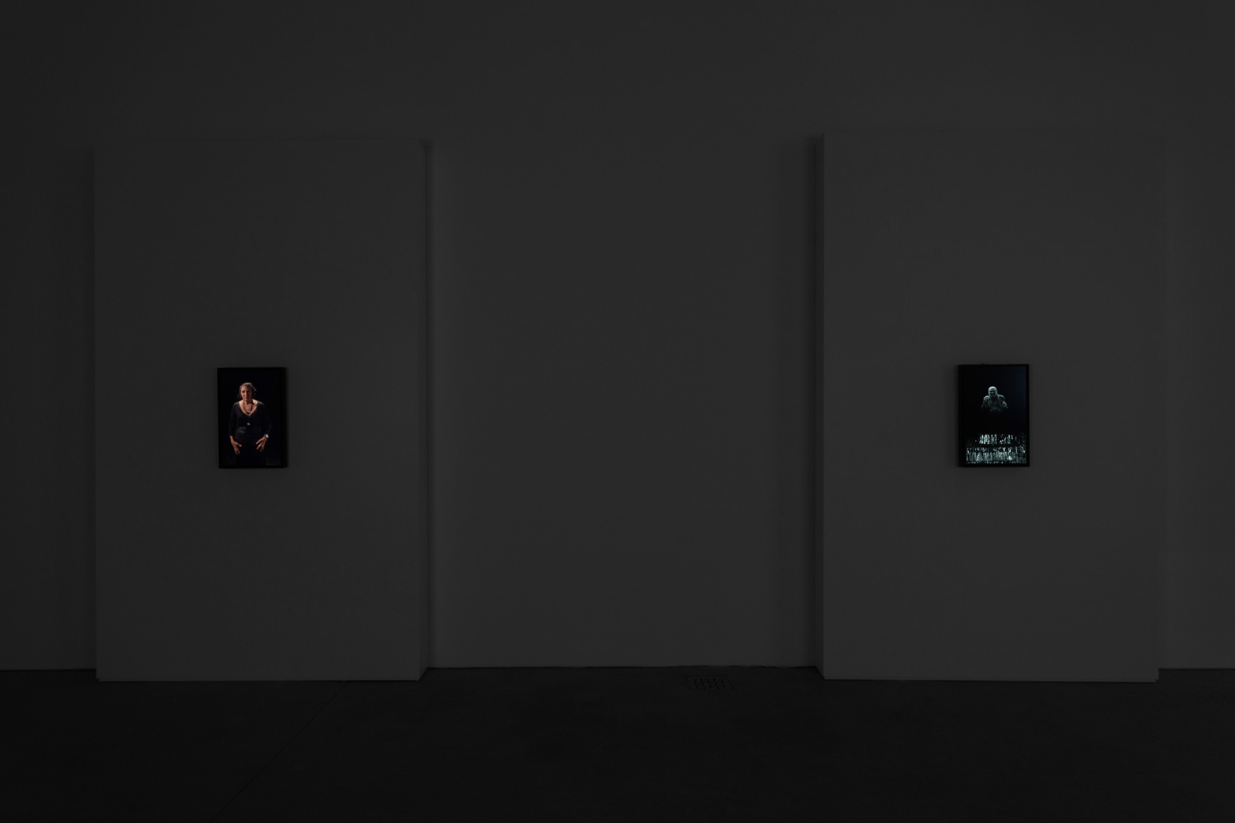 Bill Viola: The Vast