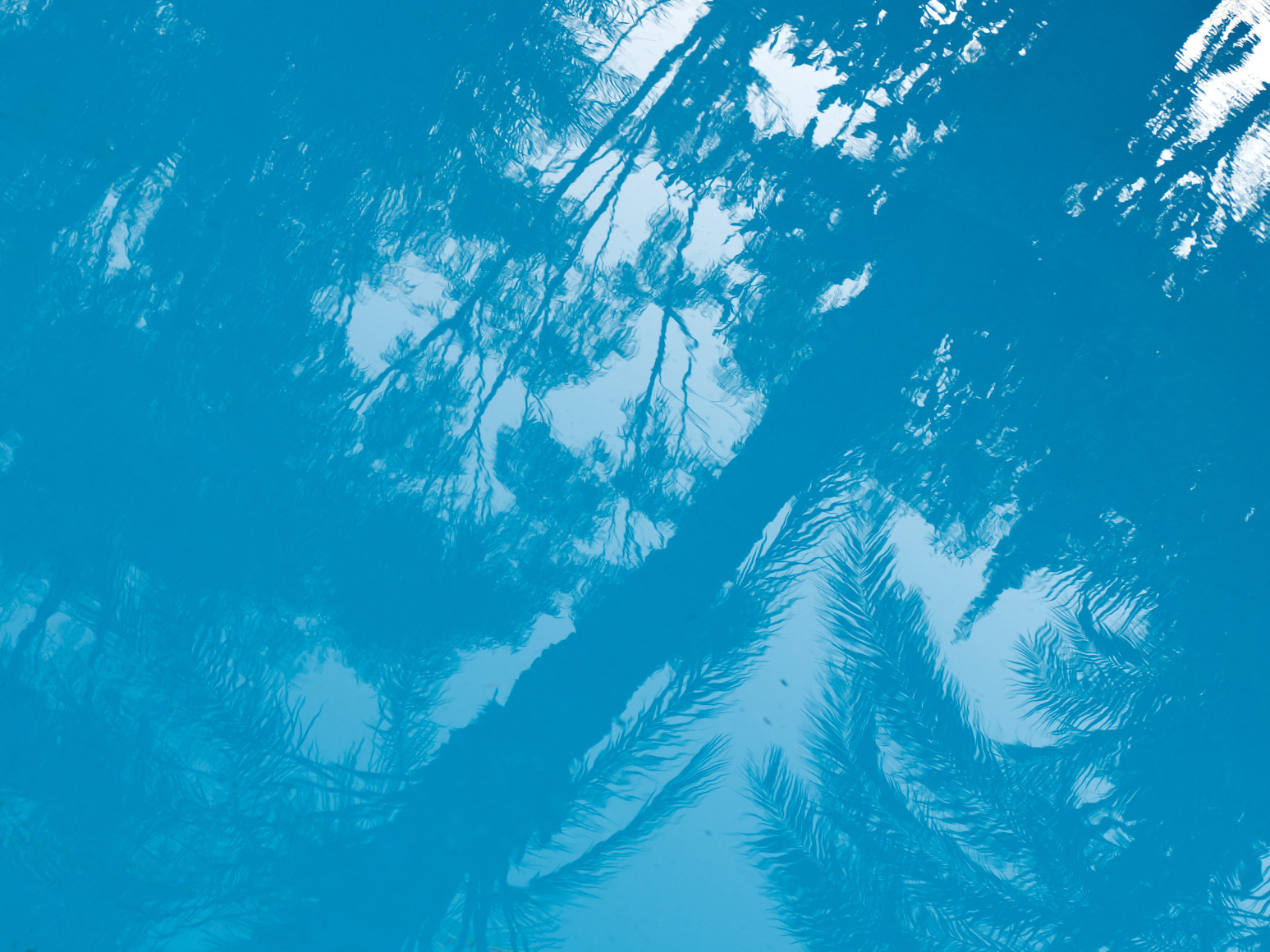 Maxi Cohen, Cairo Egypt, 2022