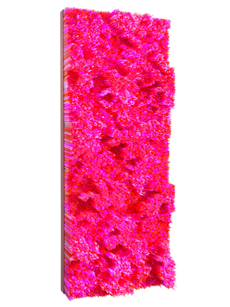 Straws, 2015 Straws on Wood Panel with Metal Frame