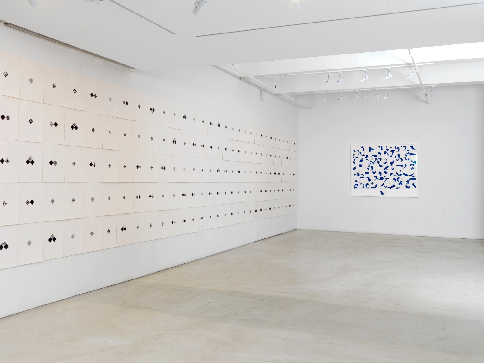 Pouran Jinchi: Black and Blue