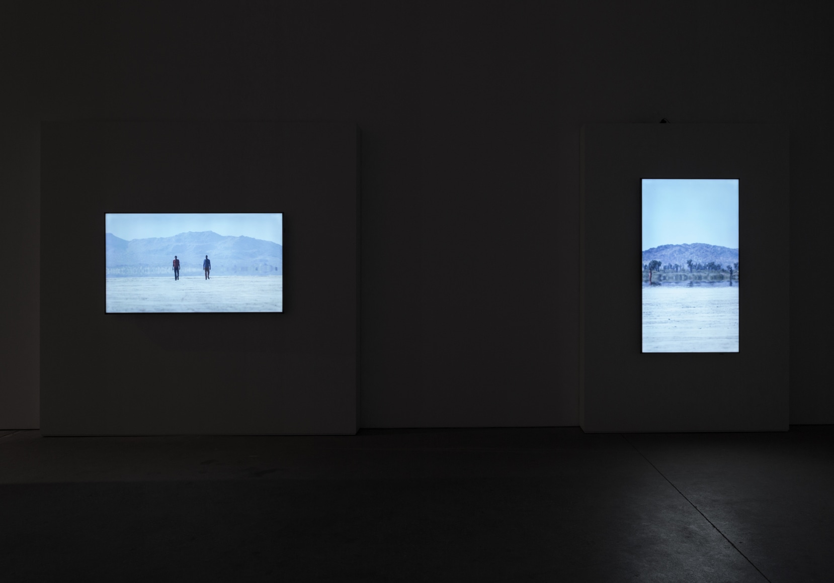 Bill Viola: The Vast