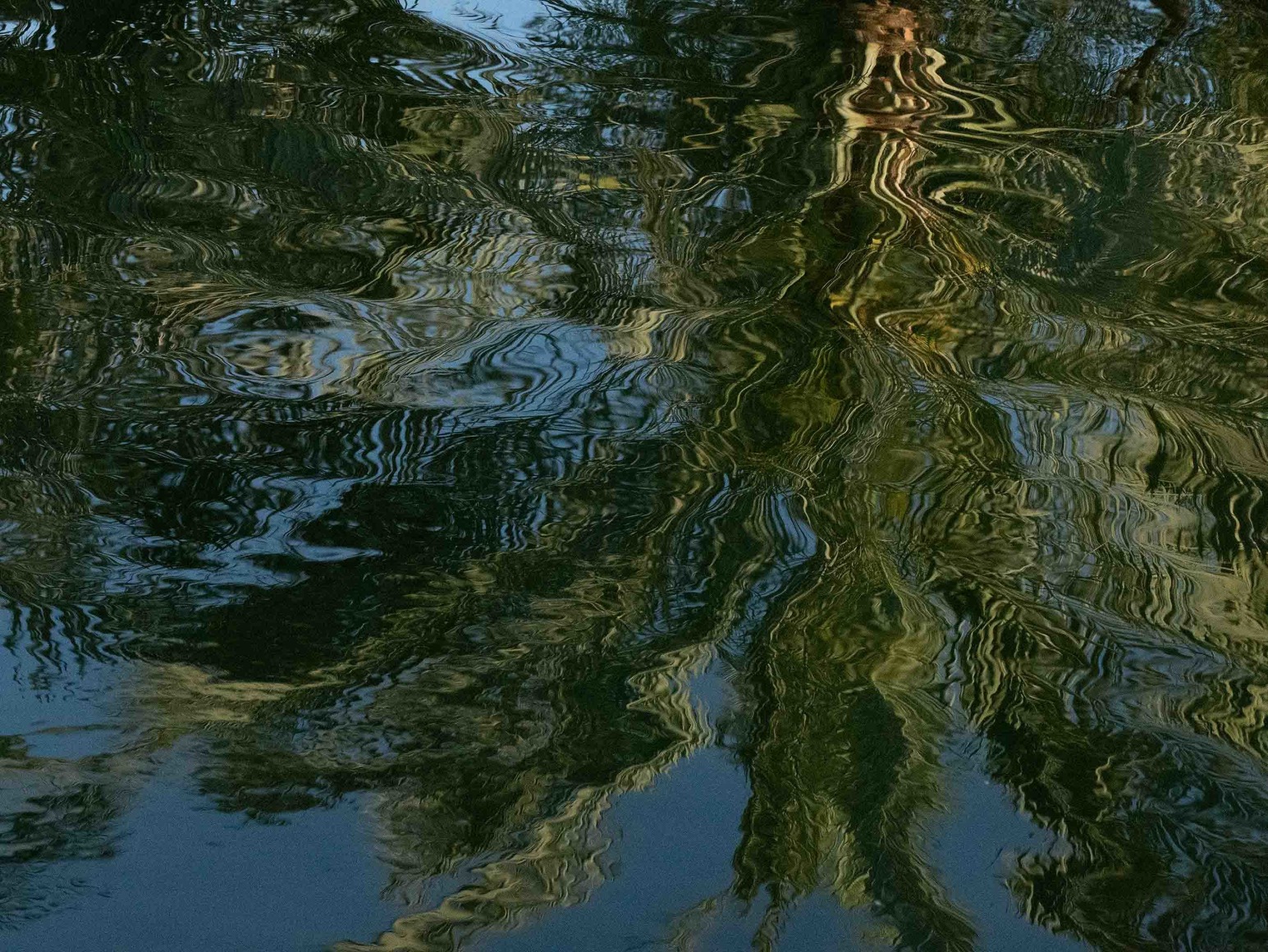 Maxi Cohen, The Sustainable City Dubai, 2022